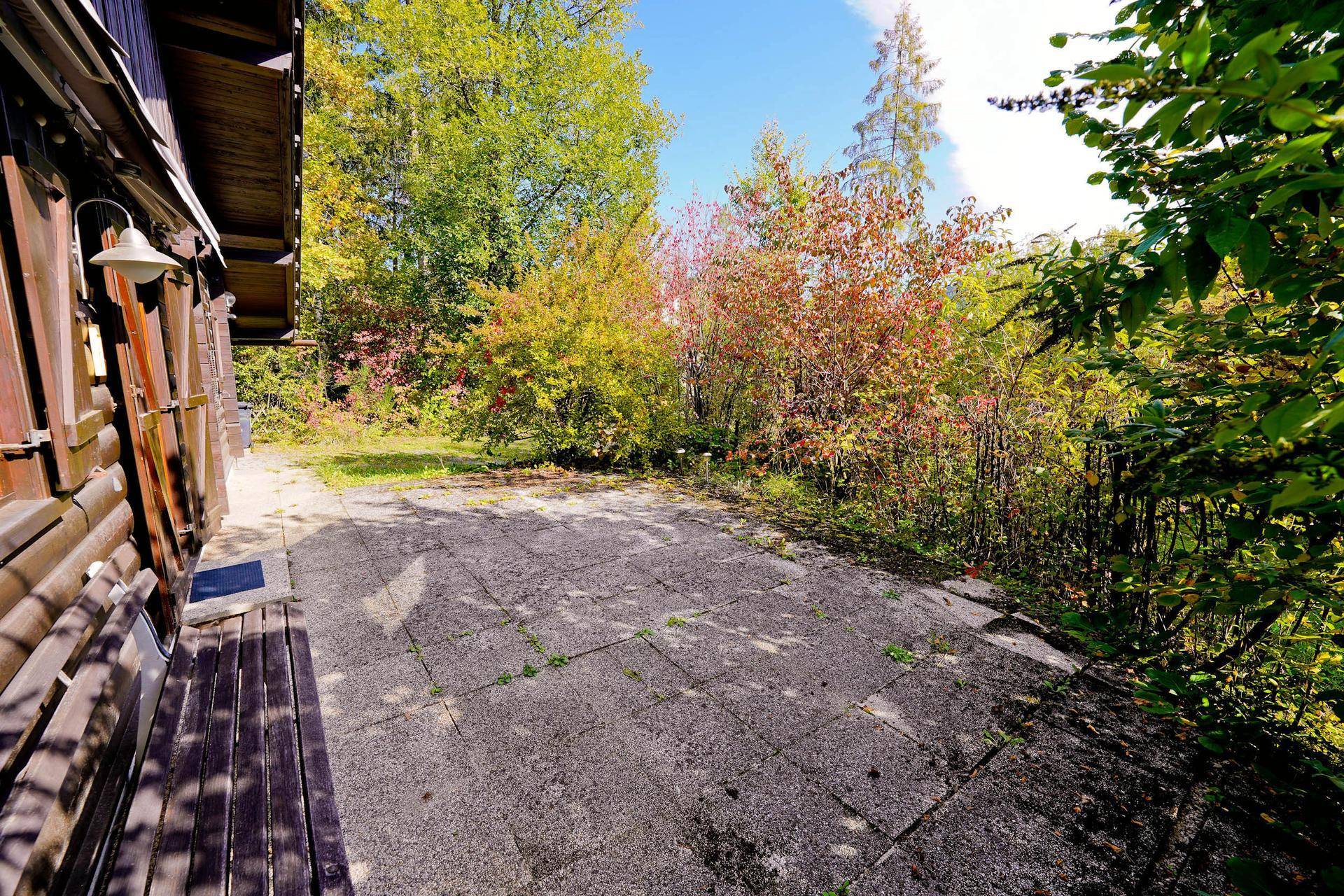 Sonniger, gepflasterter Terrassenbereich neben dem Haus, umgeben von üppigen Sträuchern.