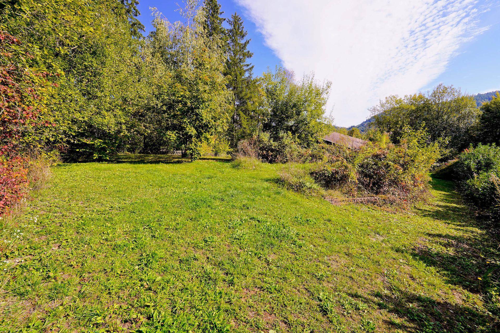 Große, gepflegte Rasenfläche mit üppiger Vegetation und Bäumen im Hintergrund, ideal zum Entspannen.