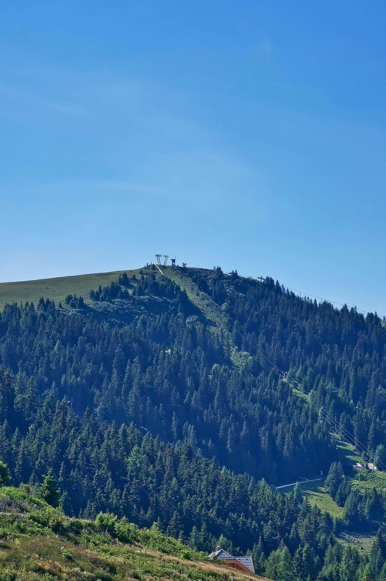 Blick auf einen bewaldeten Berggipfel mit einer Skiliftanlage unter klarem blauem Himmel.