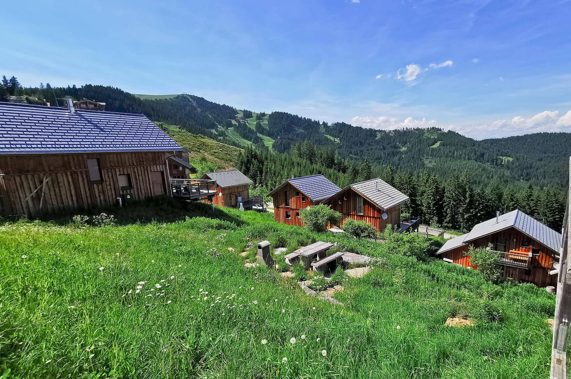 Panoramablick auf rustikale Holzchalets, eingebettet in eine grüne Berglandschaft mit sichtbaren Skipisten.