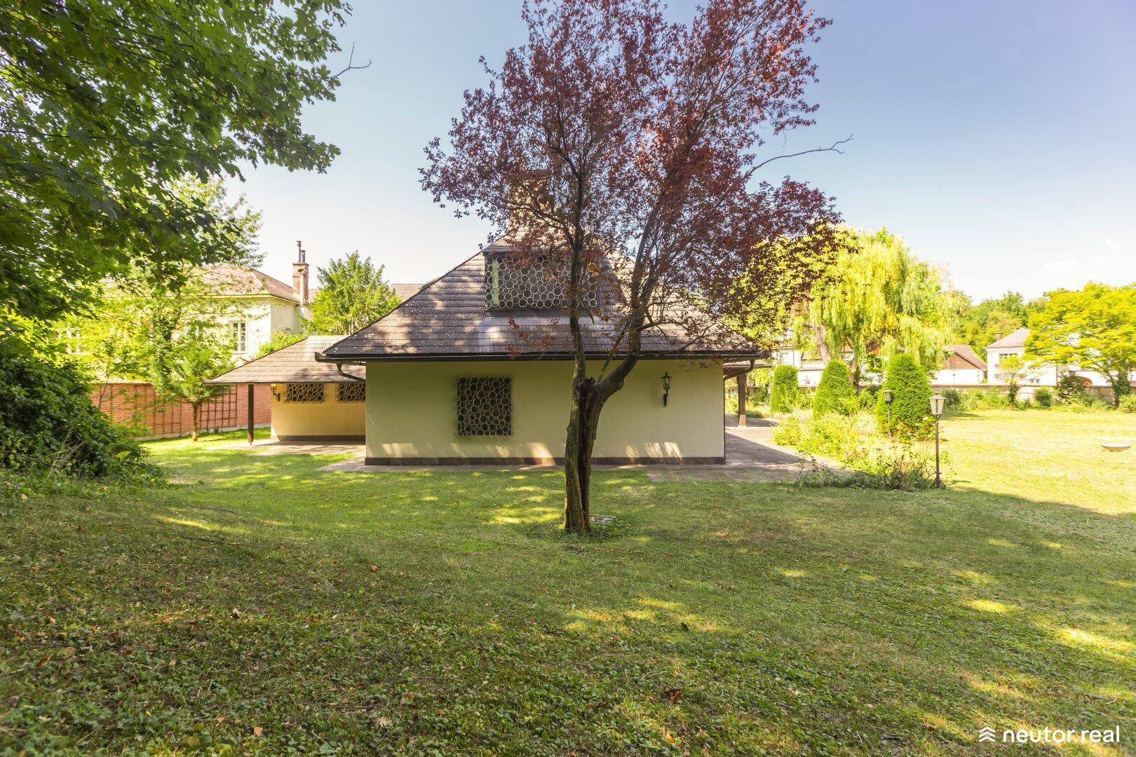 Rückansicht des Hauses mit großem Rasen und altem Baum im Vordergrund.