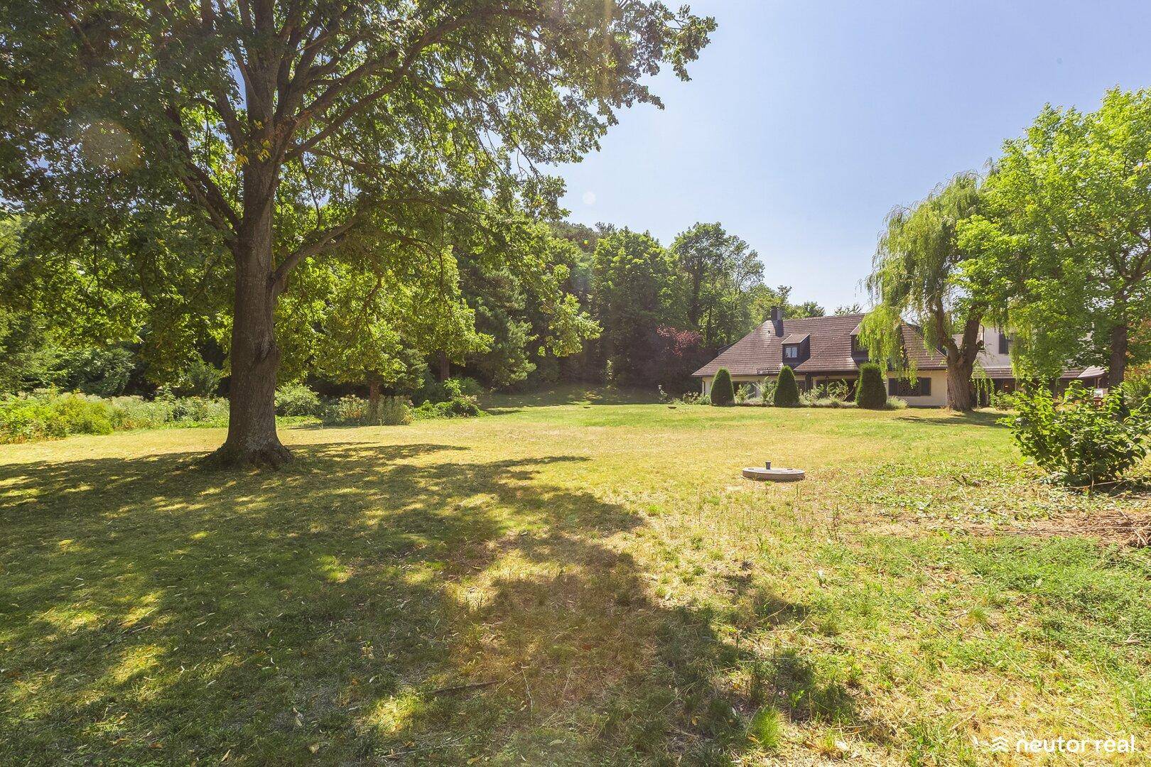 Weitläufiger Garten mit altem Baumbestand und Blick auf das charmante Landhaus im Hintergrund.