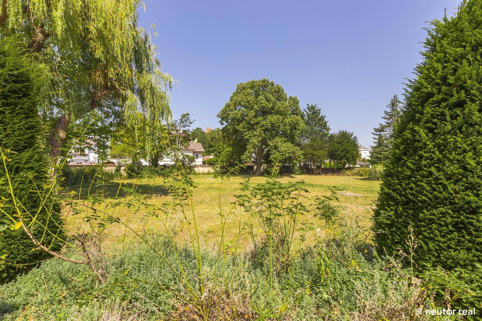 Weitläufiger Garten mit üppigem Grün und Blick auf die umliegende Wohnbebauung in der Ferne.