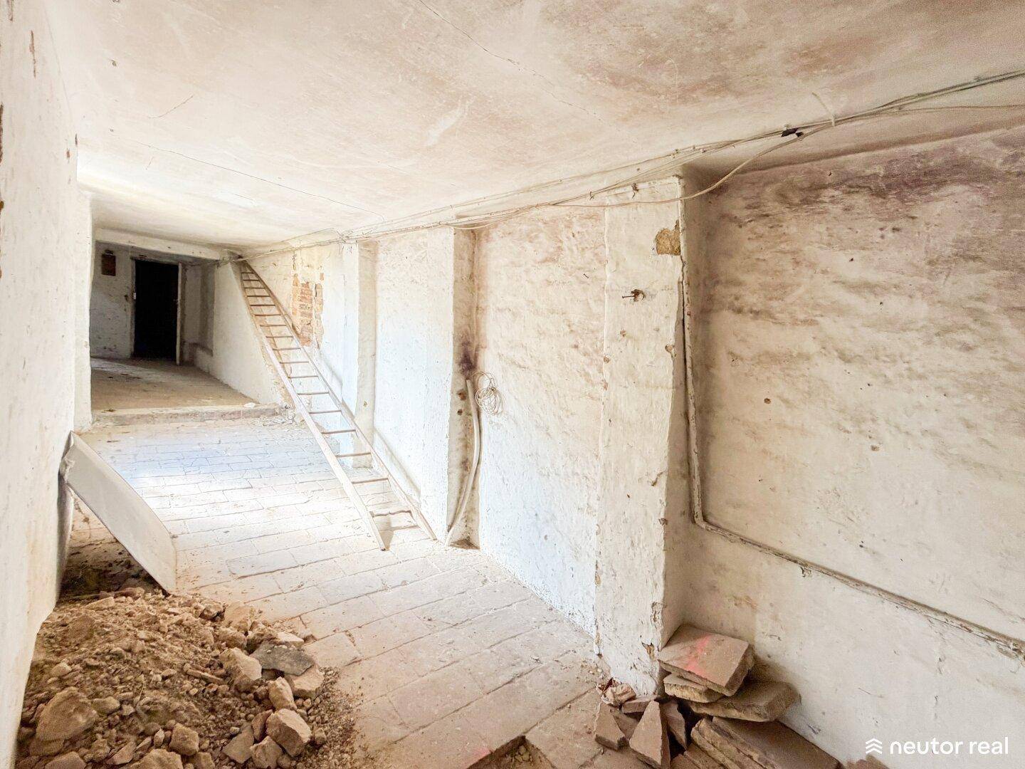 Unausgebauter Kellerraum mit rohen Wänden, Betonboden und provisorischer Leiter.