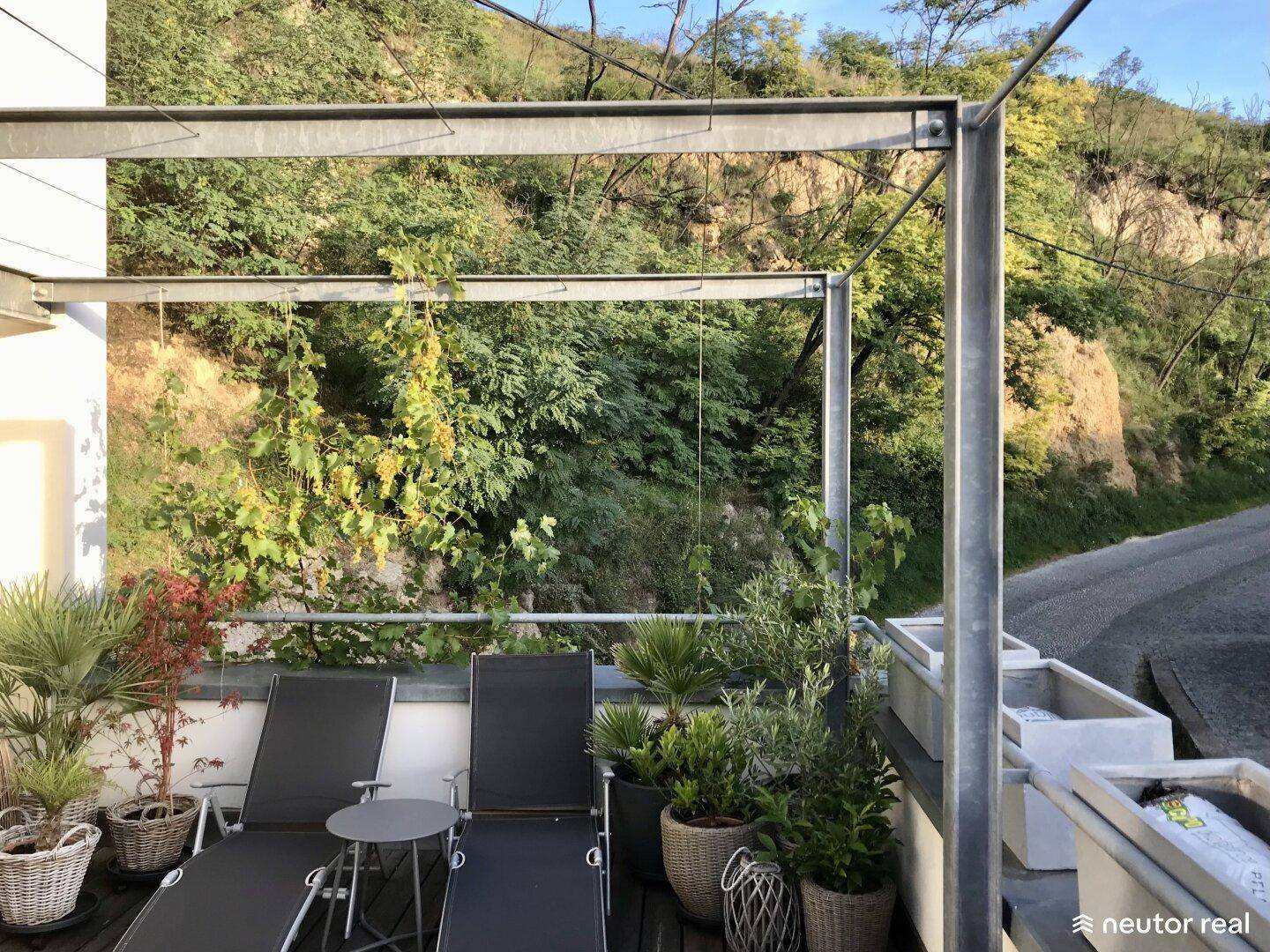 Terrasse mit Blick auf eine bewaldete Hügellandschaft, umgeben von üppigem Grün und Natur.
