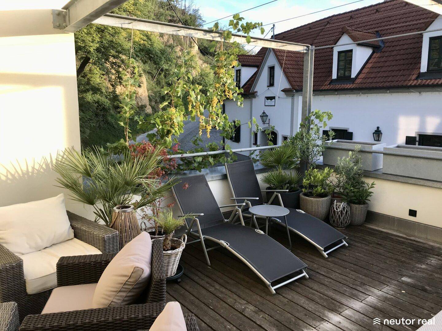 Offene Sonnenterrasse mit Liegestühlen und Pflanzen, umgeben von grüner Landschaft und Häusern.