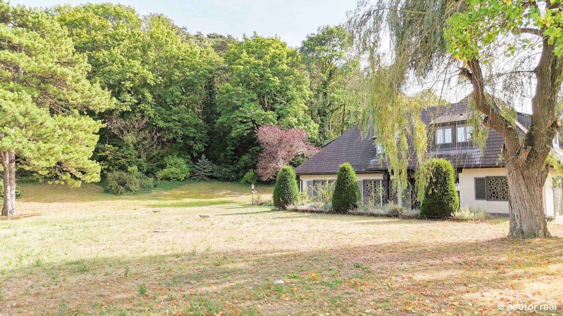 Großzügiger Gartenbereich mit altem Baumbestand und Blick auf das Haus.