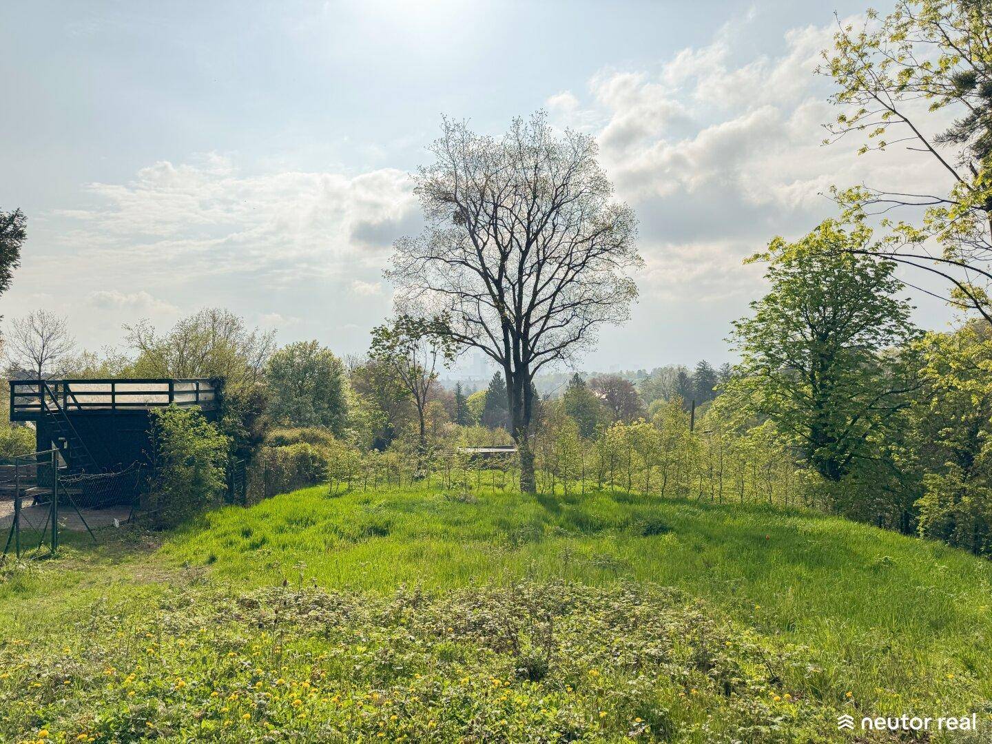 Grüne Landschaft mit Bäumen und einer hölzernen Aussichtsplattform im Hintergrund.