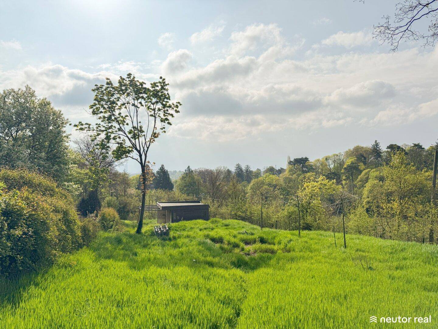 Weitläufige grüne Landschaft mit einem kleinen Holzgebäude und Bäumen unter bewölktem Himmel.
