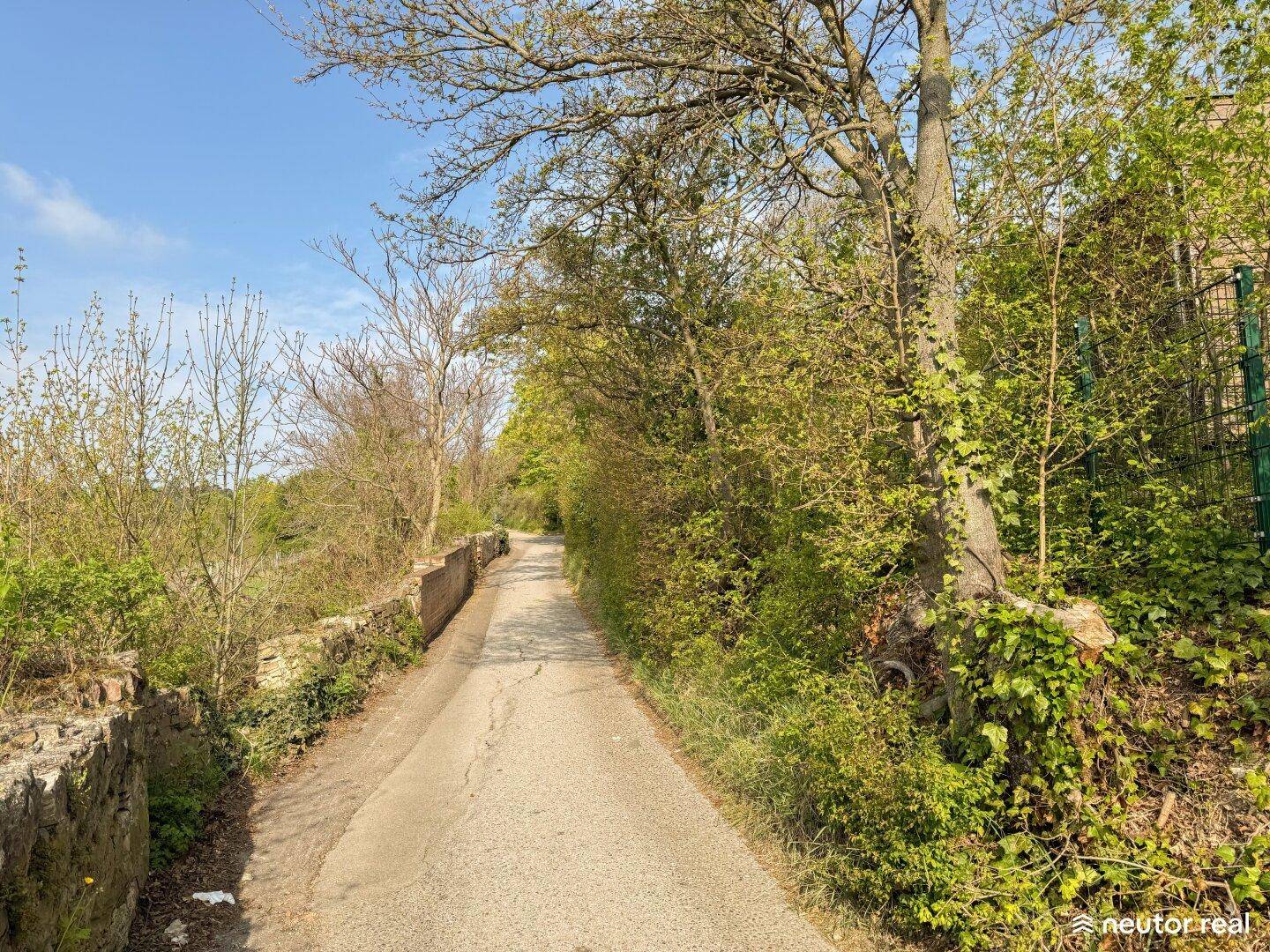 Schmaler asphaltierter Weg, gesäumt von Bäumen und alten Steinmauern in ländlicher Umgebung.