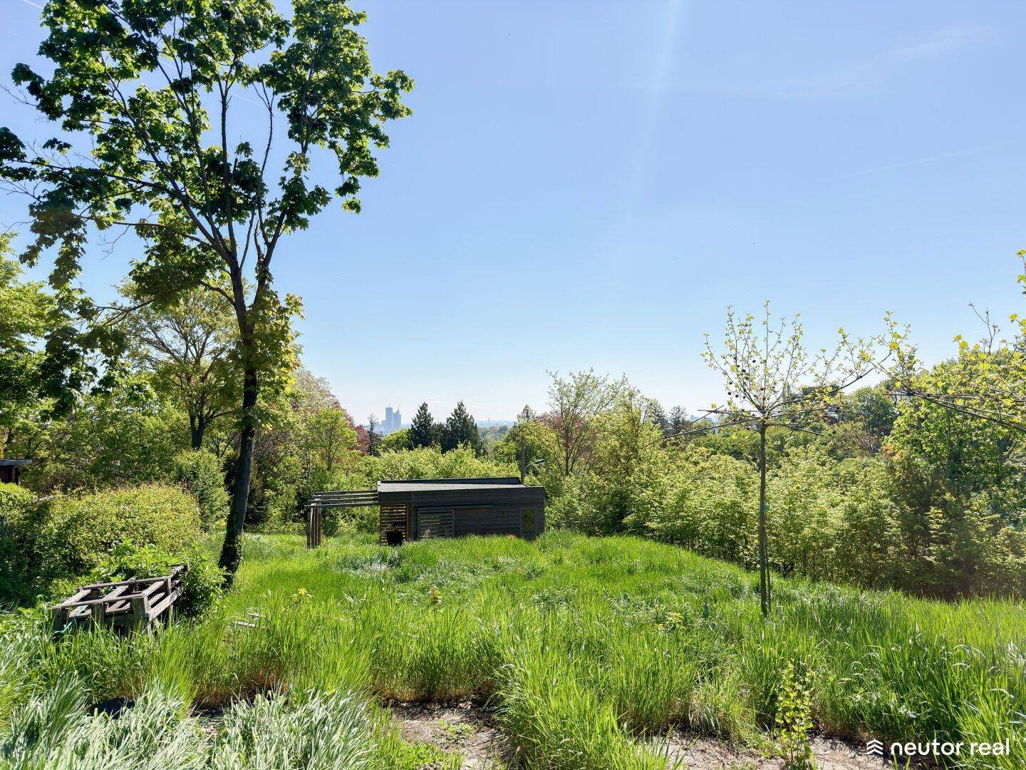 Weitläufige grüne Landschaft mit einem kleinen Holzgebäude und Bäumen im Hintergrund.