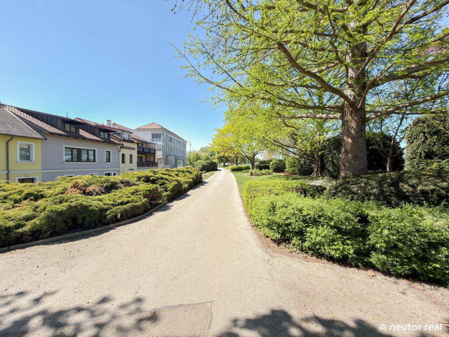Idyllischer Spazierweg in einer grünen Umgebung mit Bäumen und Wohngebäuden im Hintergrund.
