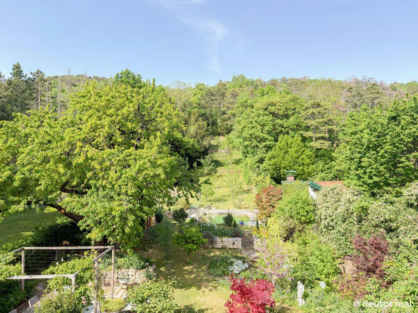 Weitläufiger Garten mit üppiger Vegetation, Pool und Blick auf die bewaldete Umgebung.