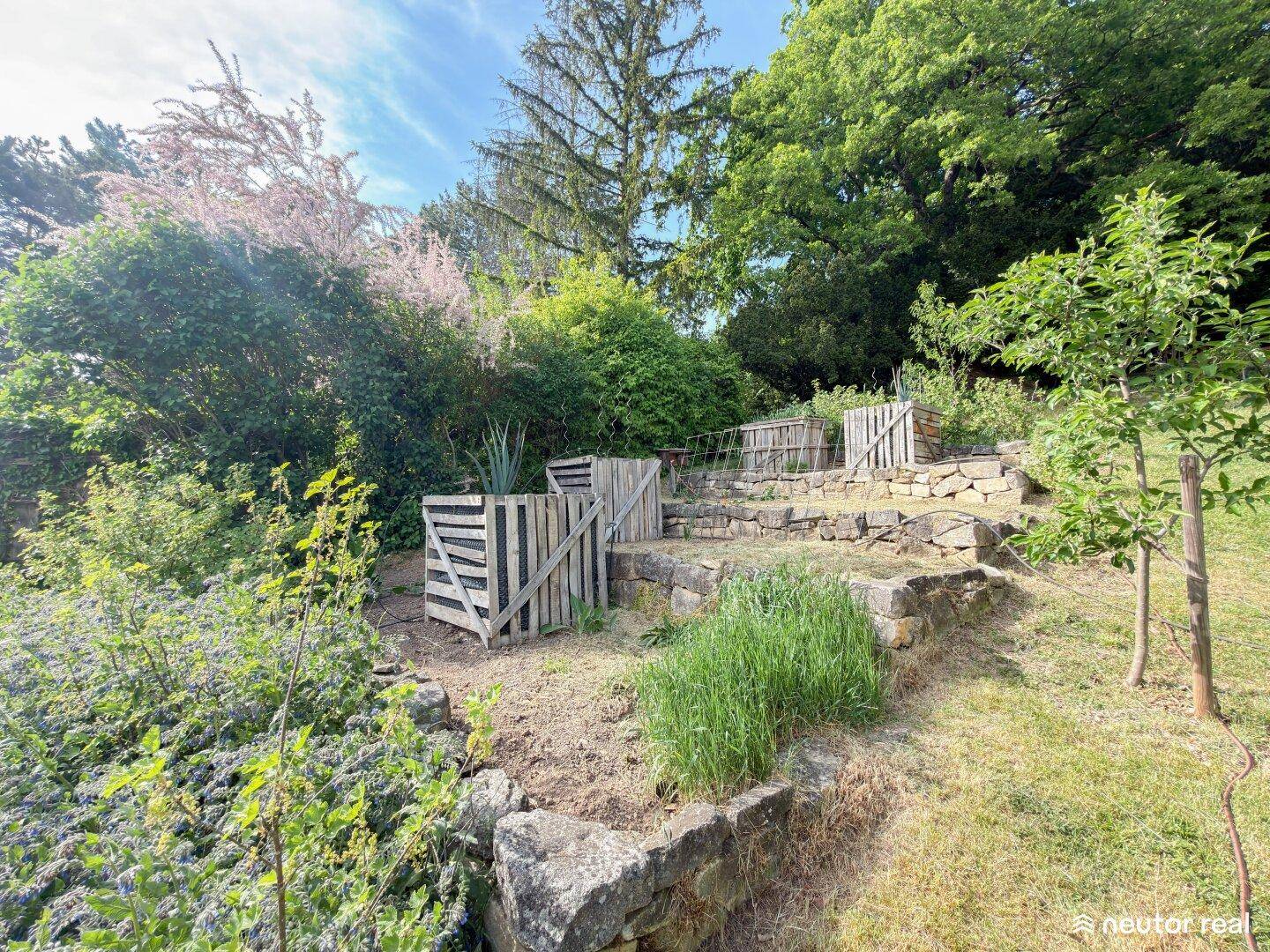 Terrassierte Gartenbeete mit Natursteinmauern und verschiedenen Pflanzen, ideal für den Anbau von Gemüse.