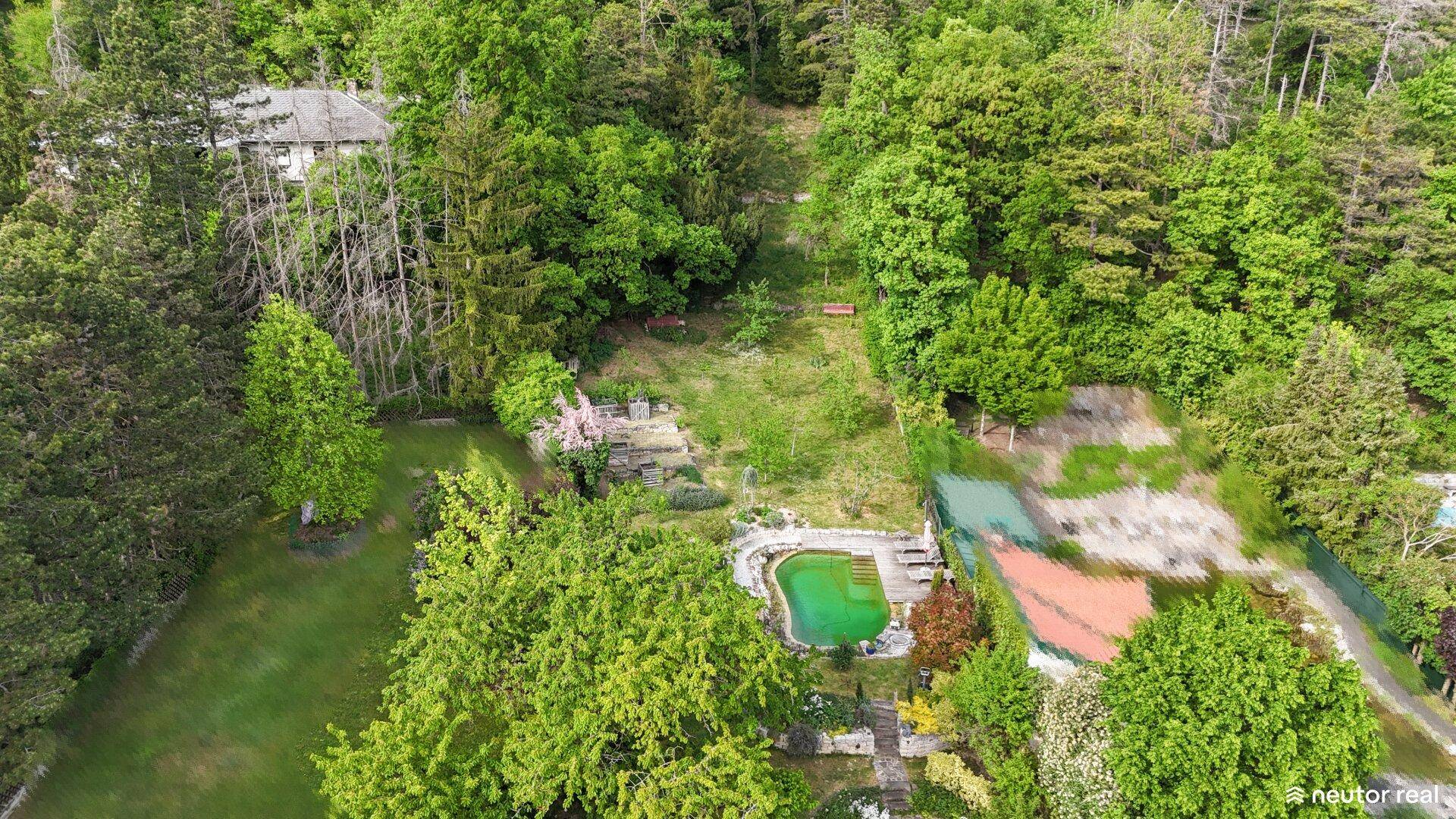 Weitläufiges Grundstück mit Schwimmteich, Garten und angrenzendem Waldgebiet aus der Vogelperspektive.