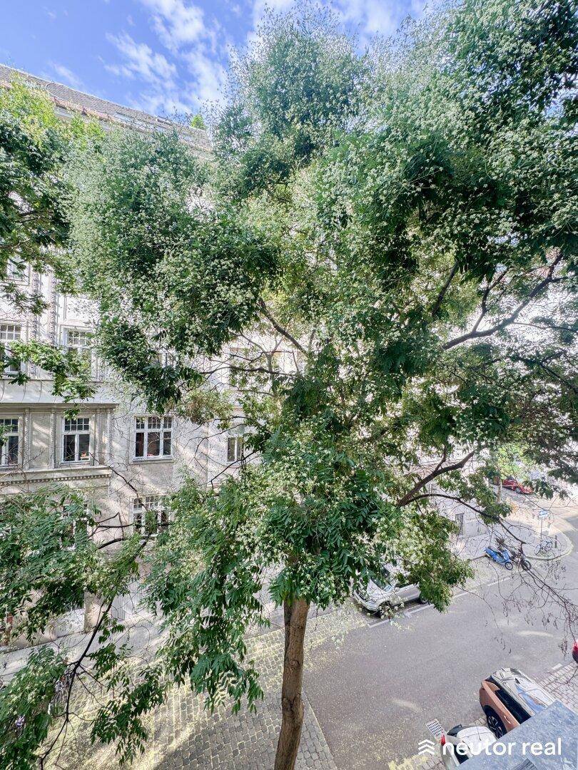 Blick aus dem Fenster auf eine grüne Straße mit Bäumen und Altbaufassaden.