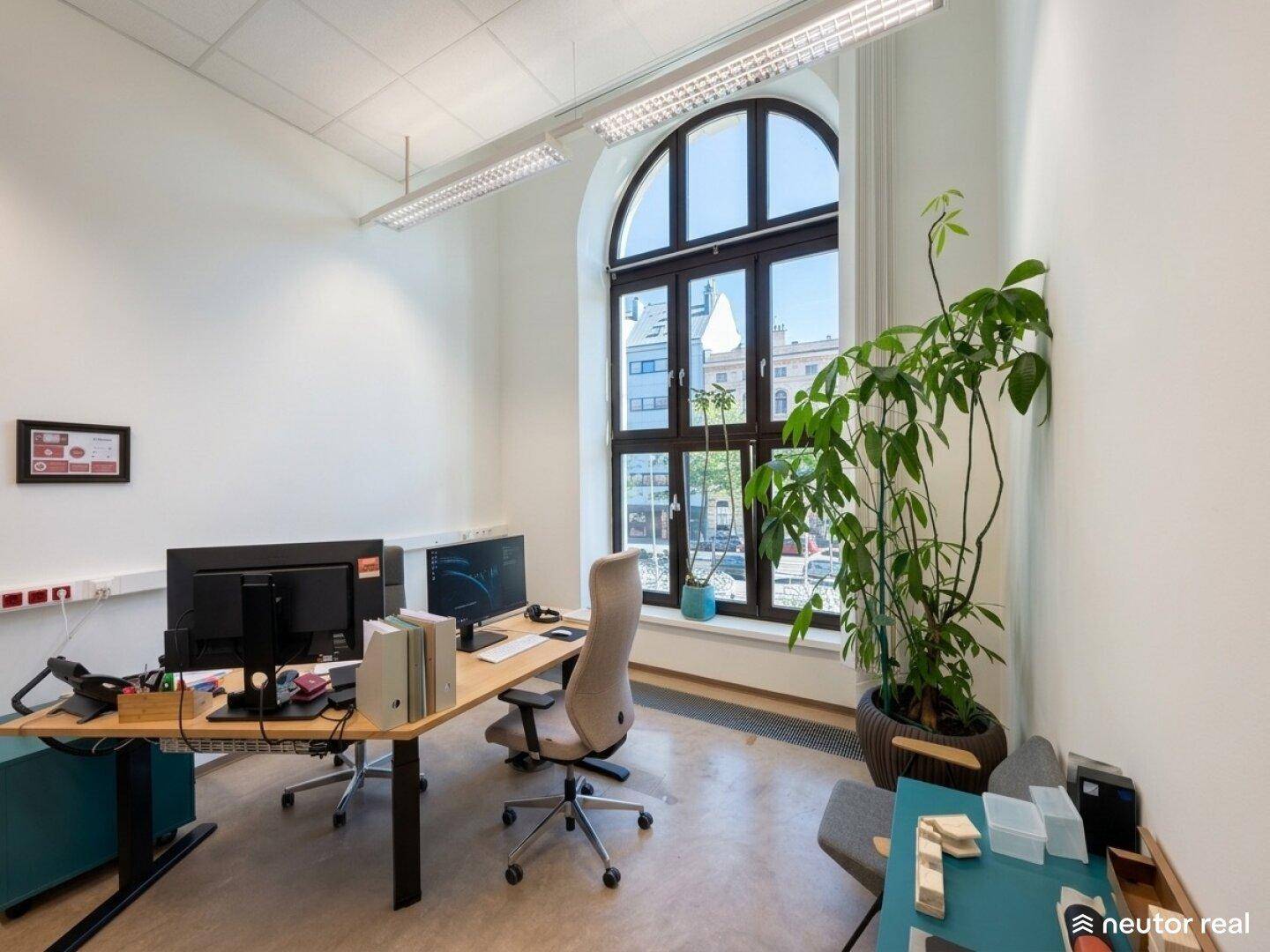 Einzelner Arbeitsplatz in einem hellen Büro mit großem Rundbogenfenster und Pflanzen.