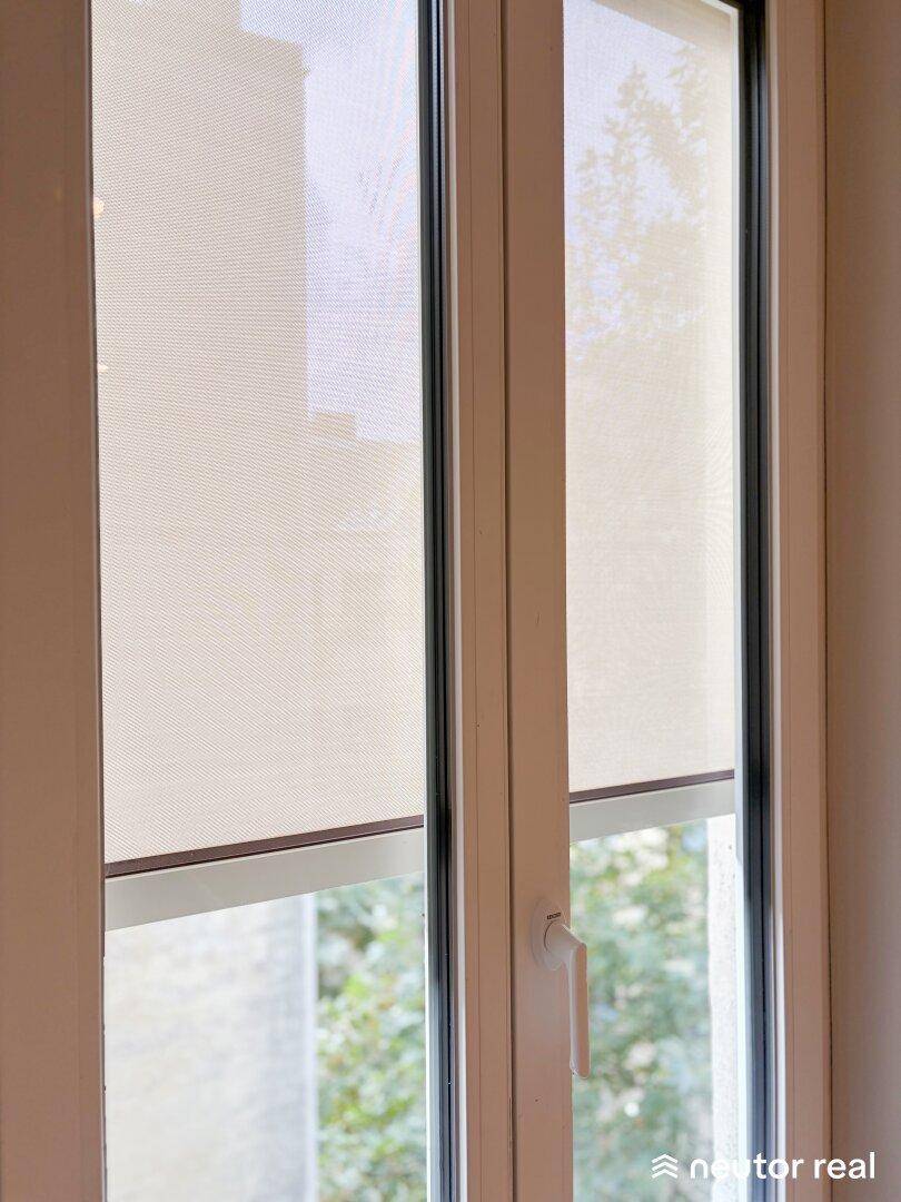Detailaufnahme eines Fensters mit Rollo und Blick ins Grüne.