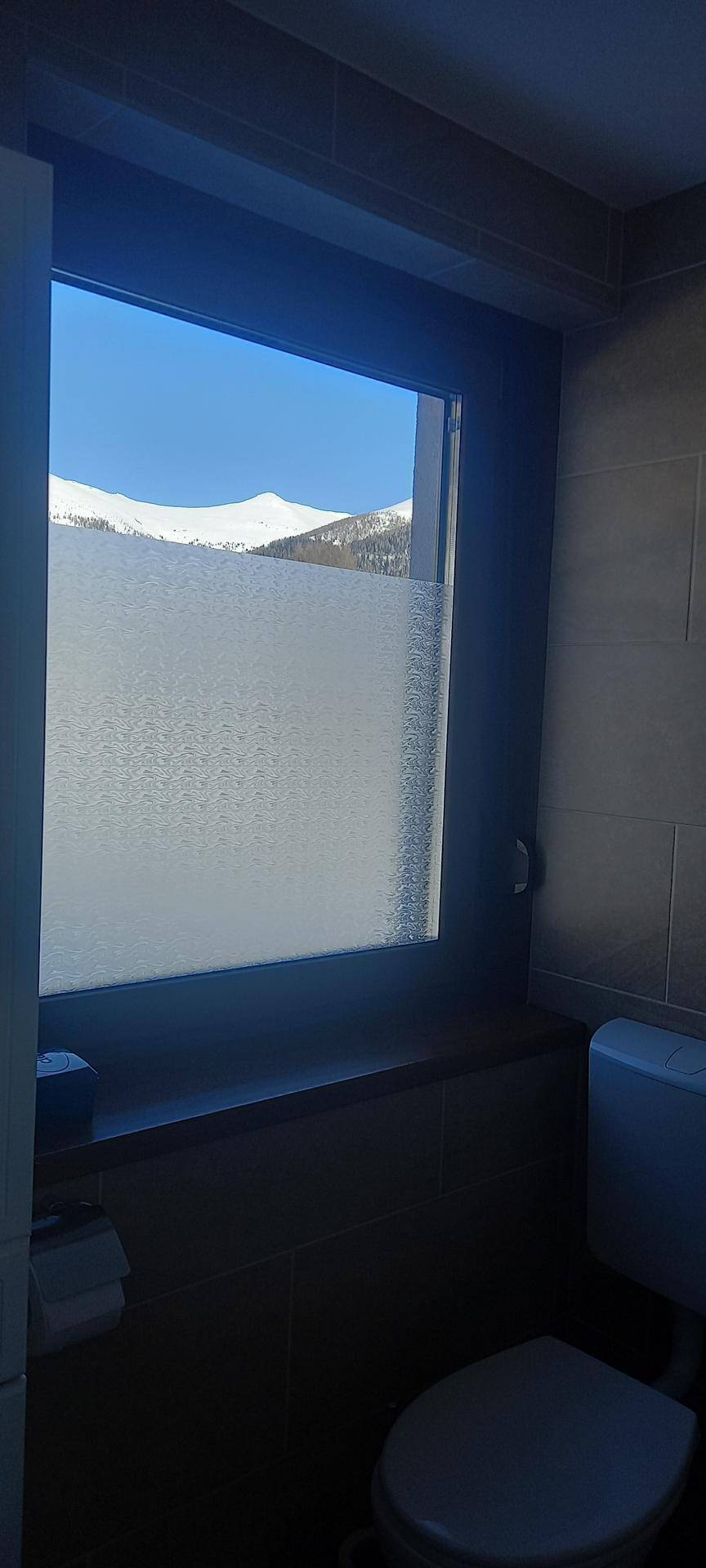 Badezimmer mit WC und Fenster, das einen Blick auf schneebedeckte Berge bietet.