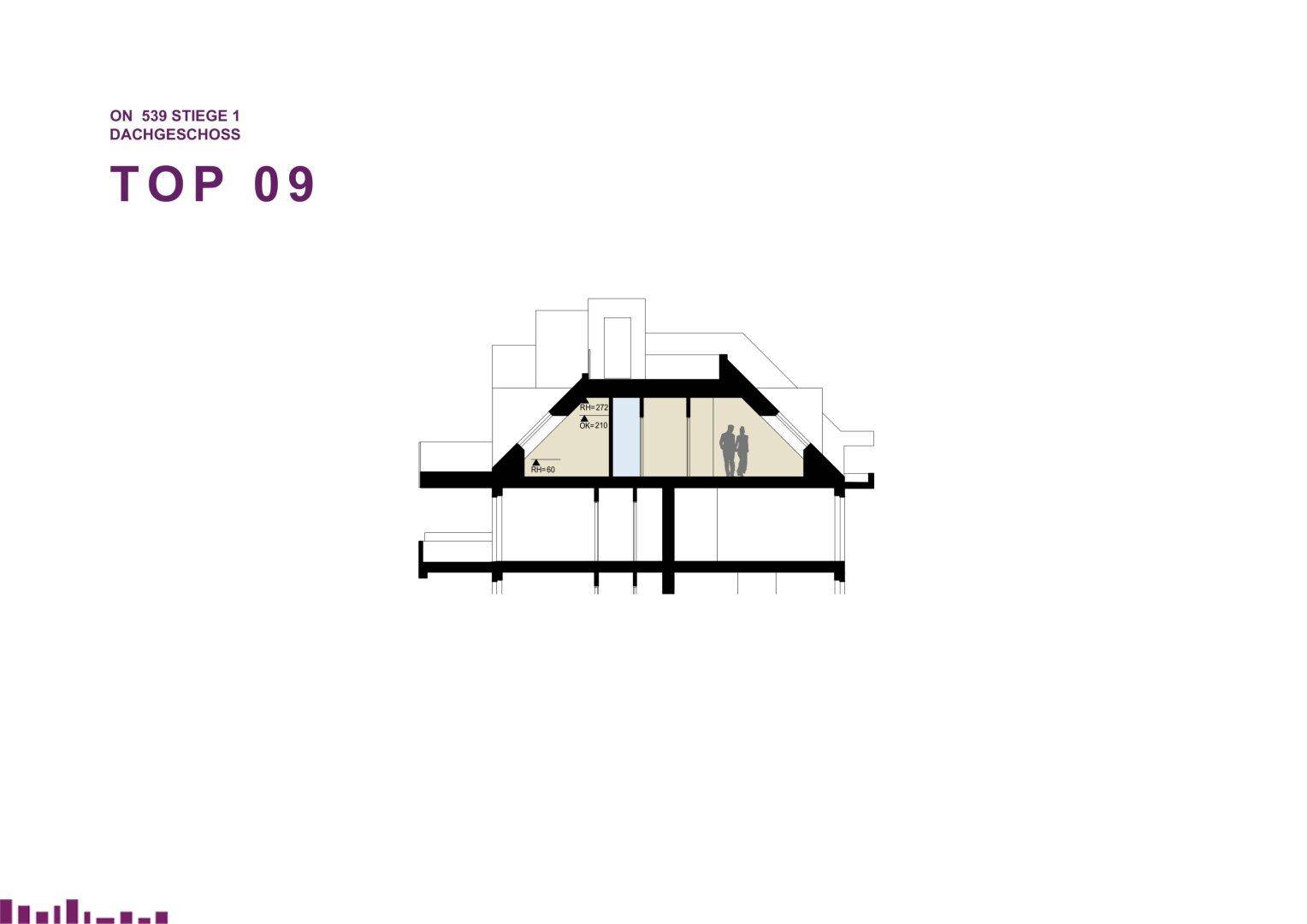 Architektonischer Querschnitt einer Dachgeschosswohnung mit schrägen Wänden, hohen Decken und Dachfenster.