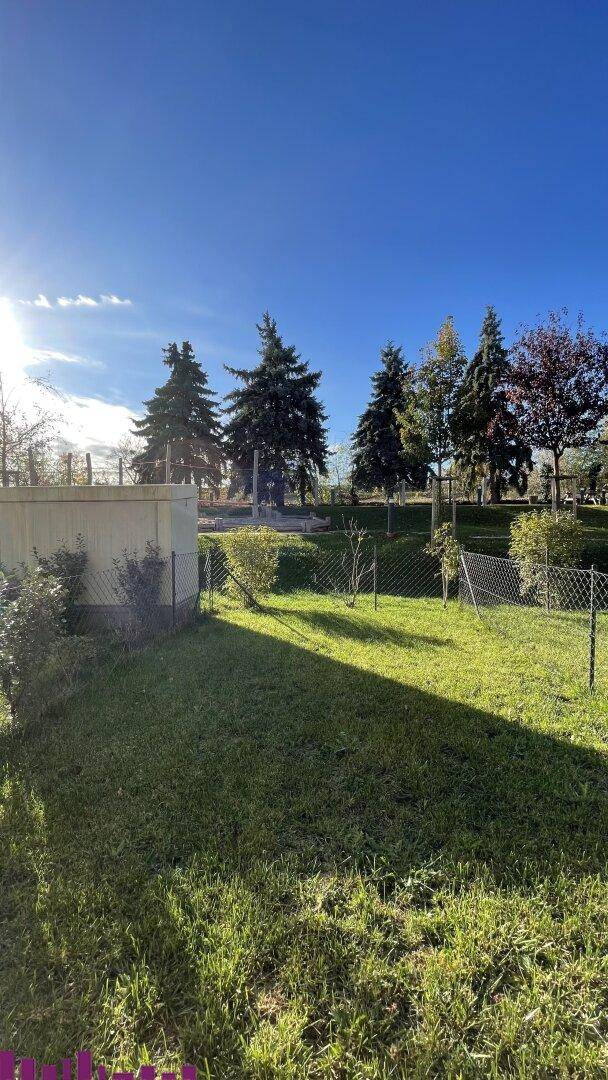 Ein sonniger Gartenbereich mit Rasen, Bäumen und einem Zaun, ideal zum Entspannen.