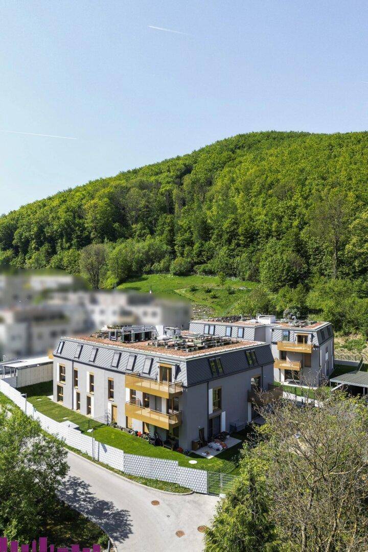 Moderne Mehrfamilienhäuser mit Flachdach und Holzverkleidung, eingebettet in eine grüne Hügellandschaft.