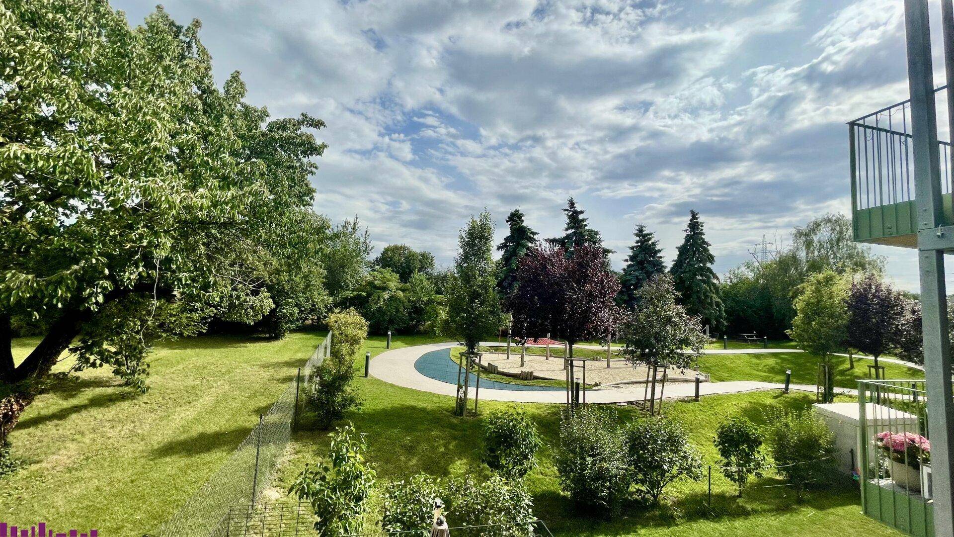 Weitläufige Grünfläche mit Spielplatz und Bäumen unter einem bewölkten Himmel, ideal für Familien.