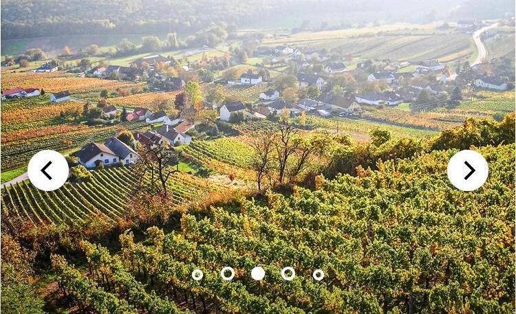 Malerische Landschaft mit einem Dorf, umgeben von weitläufigen Weinbergen und sanften Hügeln.