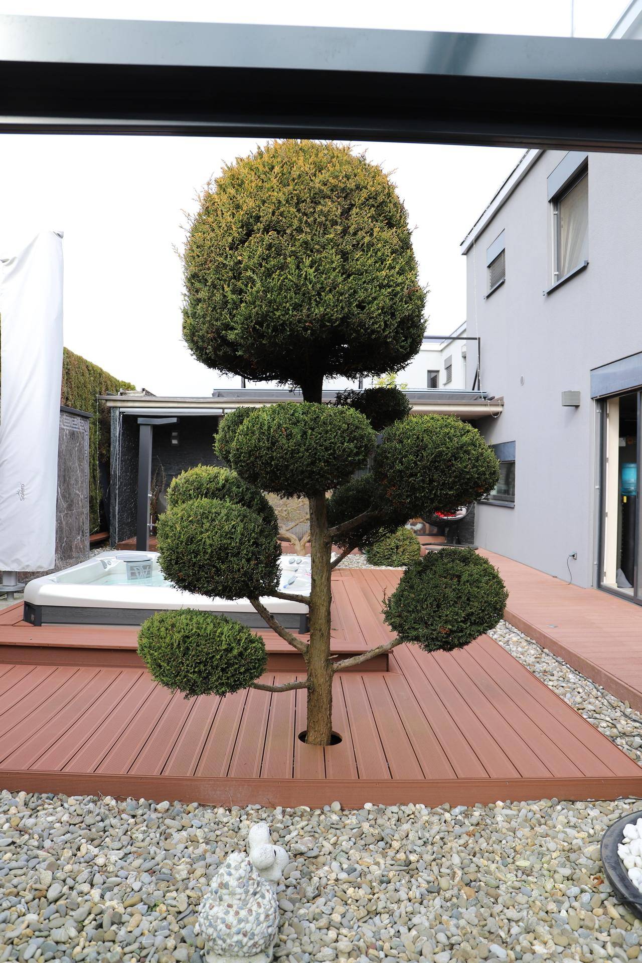 Gepflegter Außenbereich mit Holzterrasse, Whirlpool und dekorativem Baum.