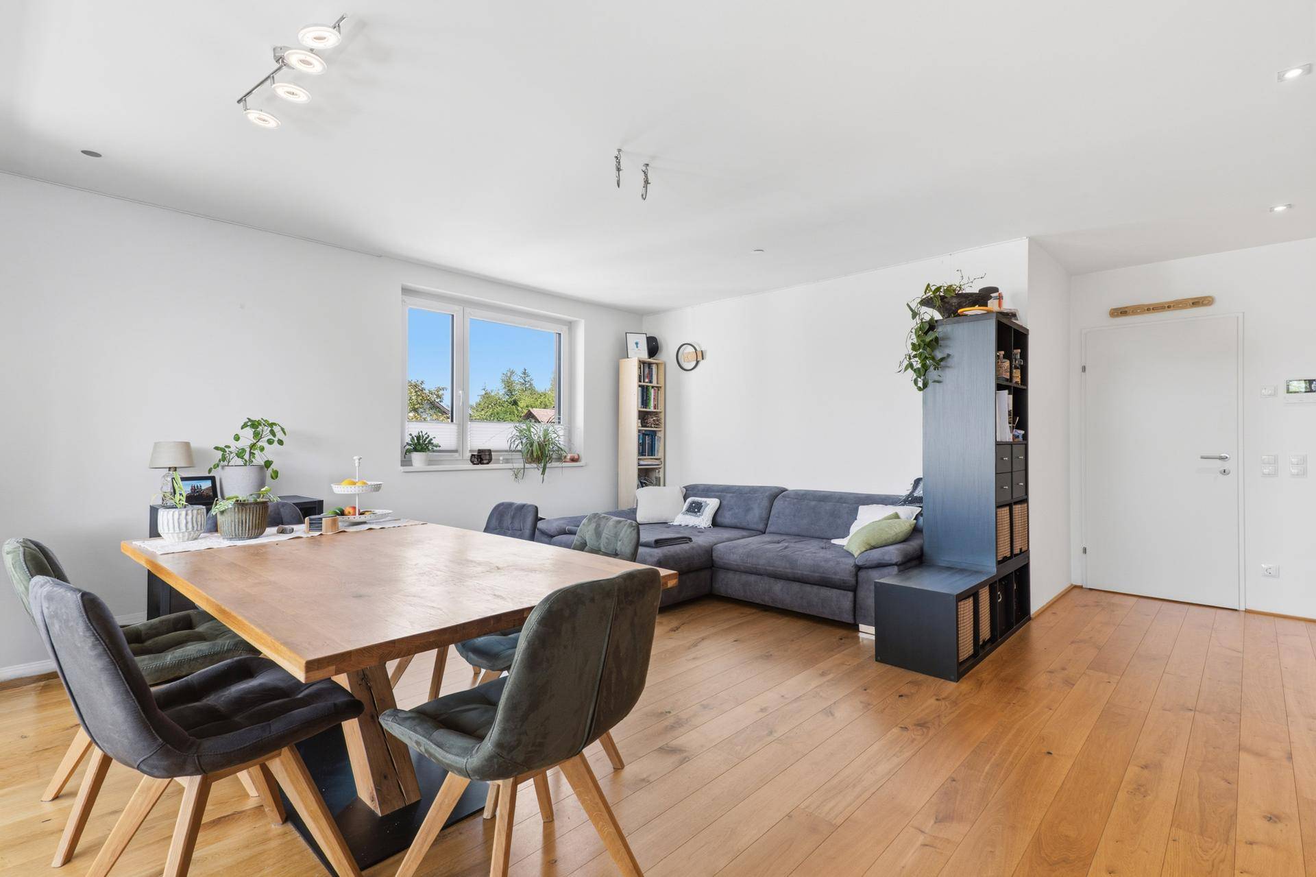 Geräumiger Wohn- und Essbereich mit Holzboden, Sofa und Esstisch.
