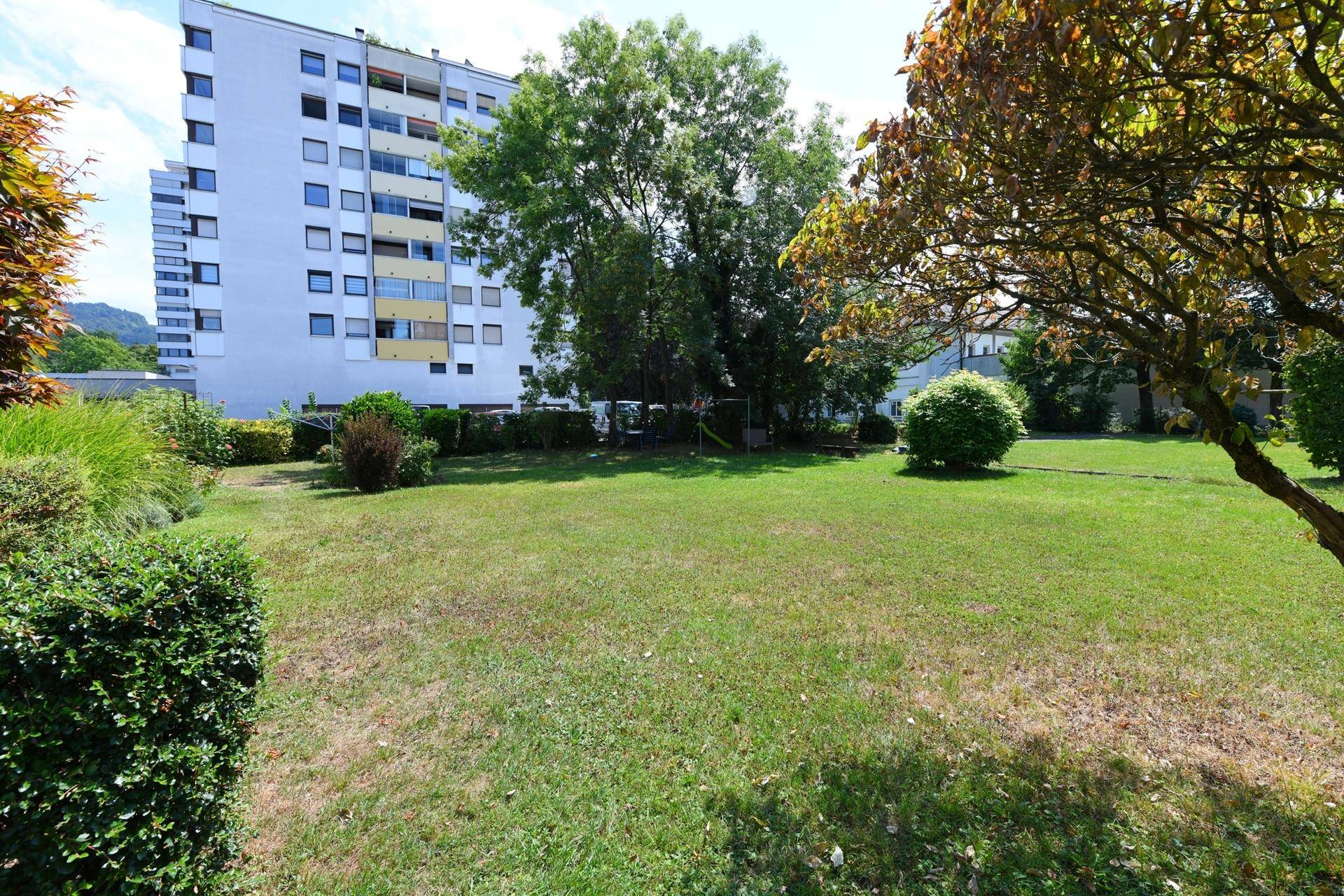 Große, sonnige Rasenfläche mit Bäumen und Blick auf die umliegenden Wohngebäude.