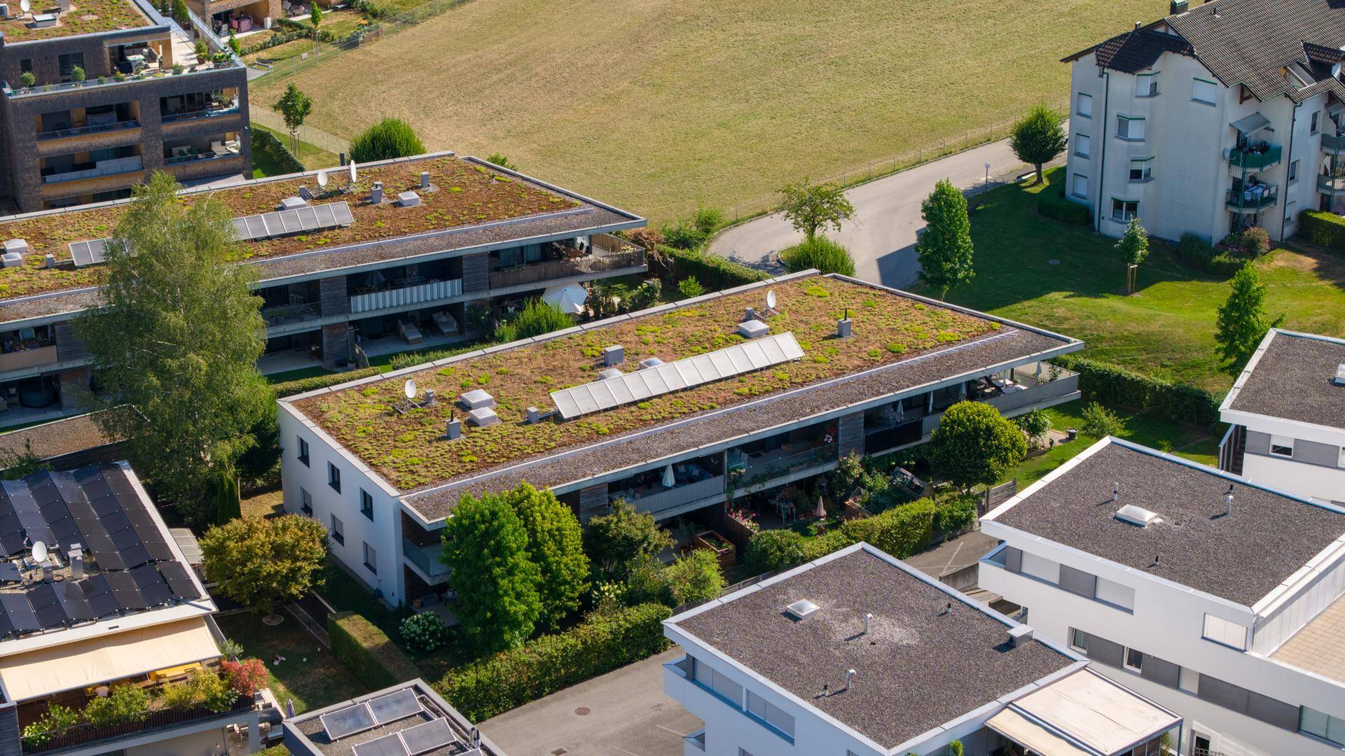 Luftaufnahme von Wohngebäuden mit begrünten Dächern und Photovoltaikanlagen.