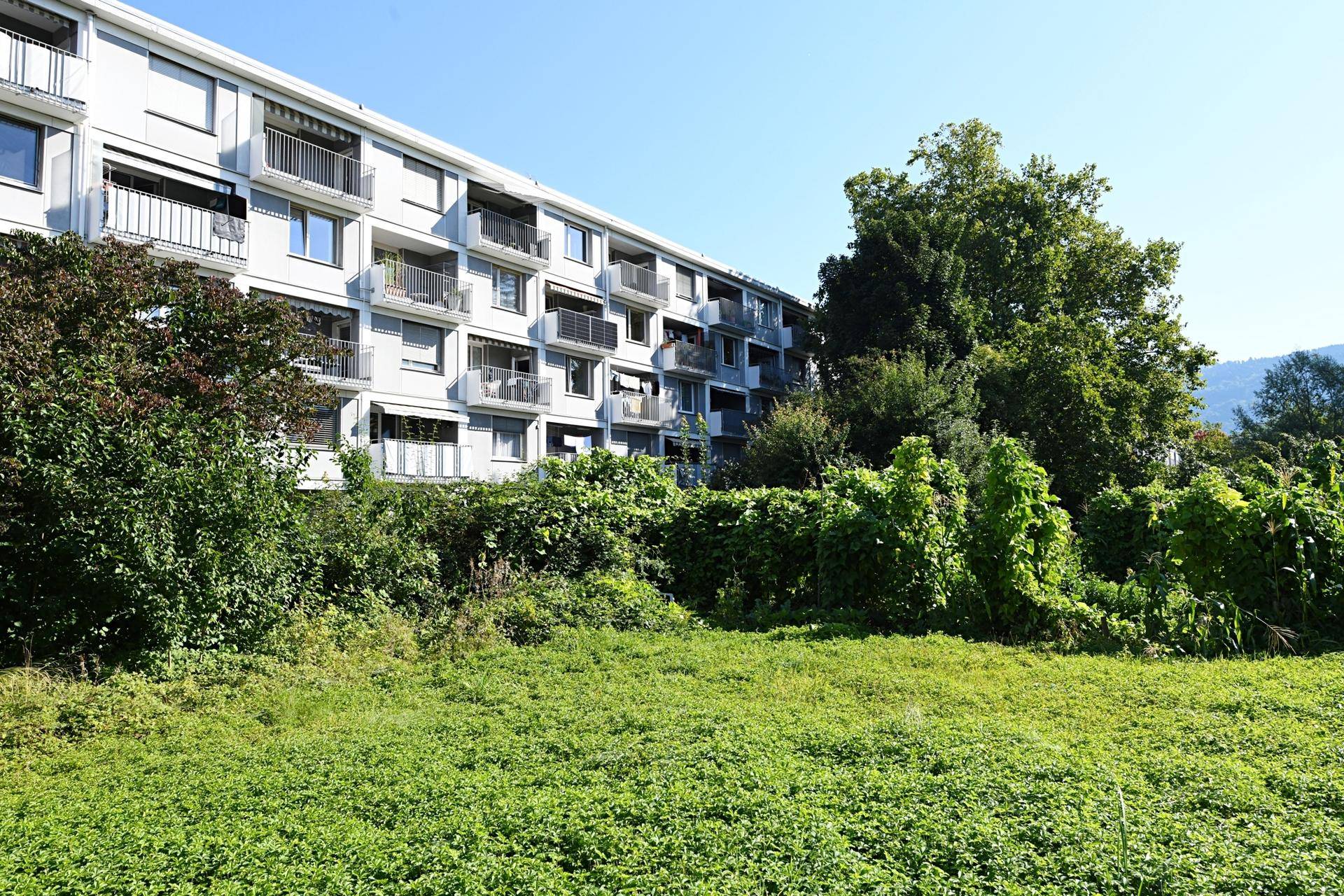 Wohnhaus mit Balkonen, umgeben von üppiger Vegetation und einer großen Grünfläche.