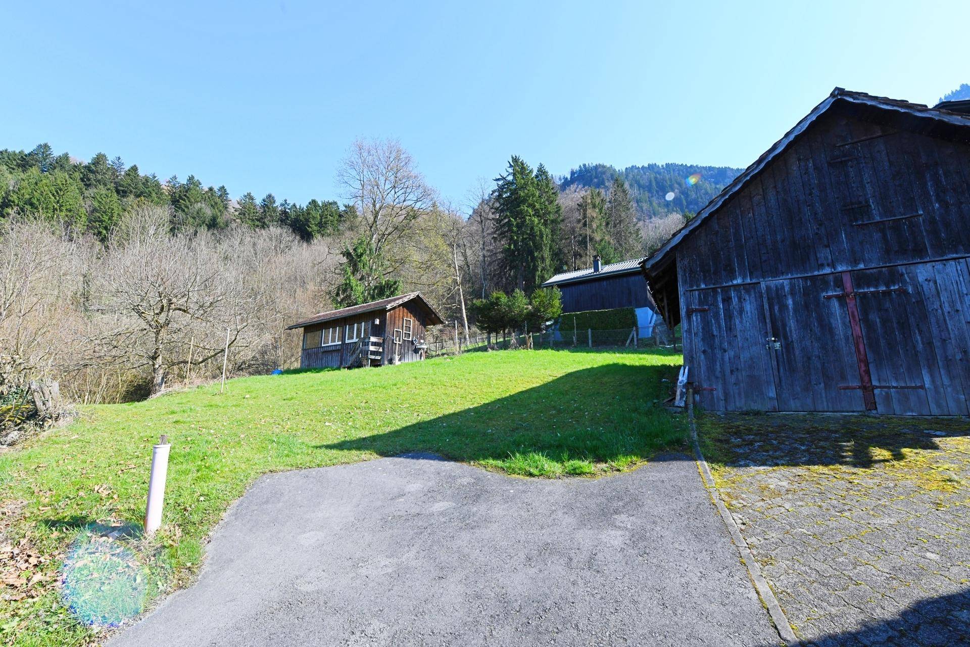 Grüner Gartenbereich mit gepflasterter Zufahrt, einem Holzschuppen und Blick auf bewaldete Hügel.