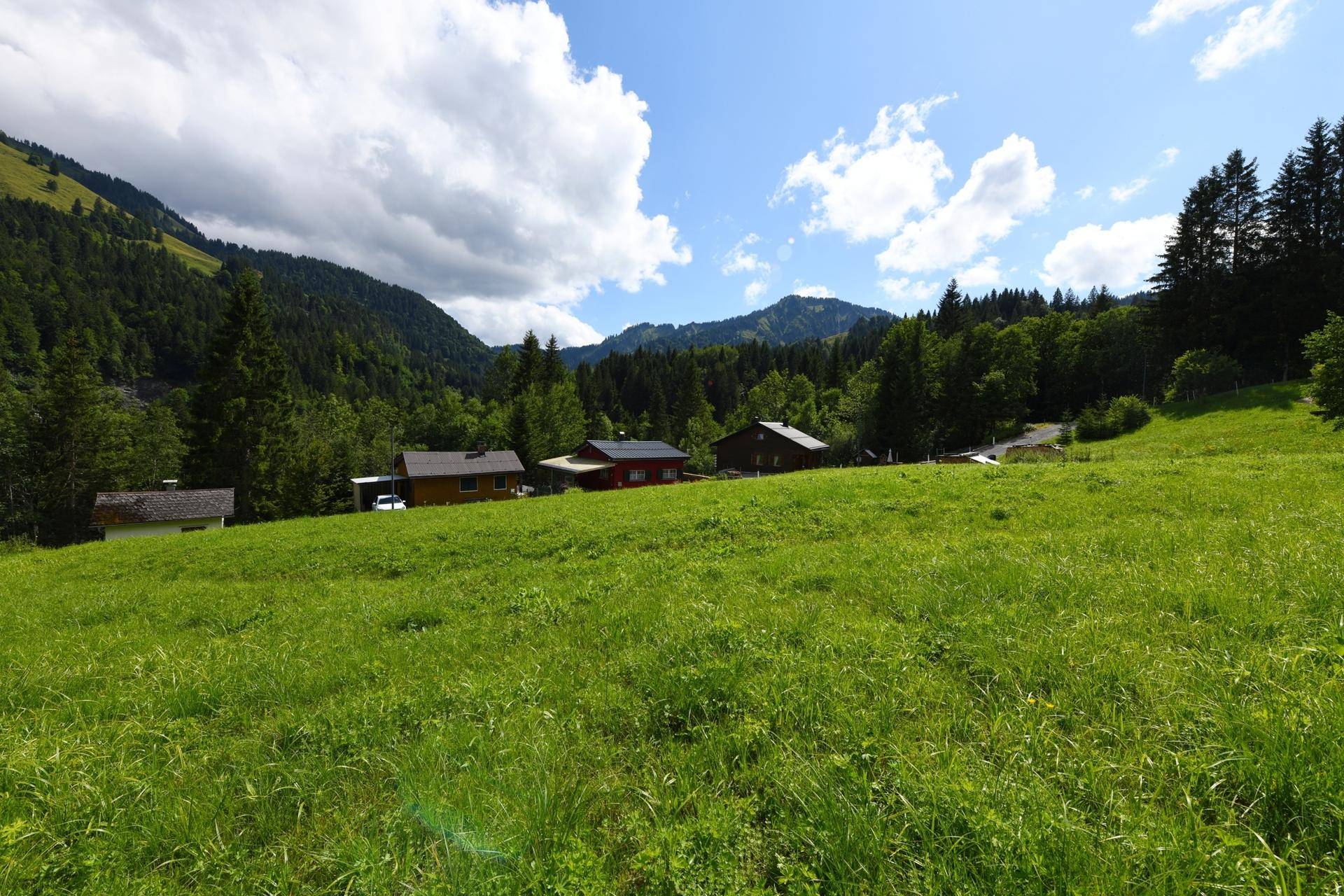 Idyllische grüne Landschaft mit verstreuten Häusern und einem weiten Blick auf bewaldete Berge.