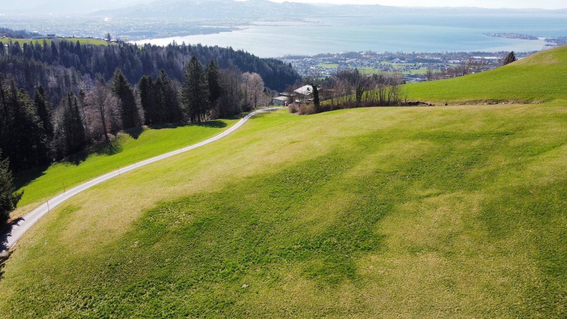 Weitläufige grüne Landschaft mit einem See und Bergen am Horizont unter blauem Himmel.