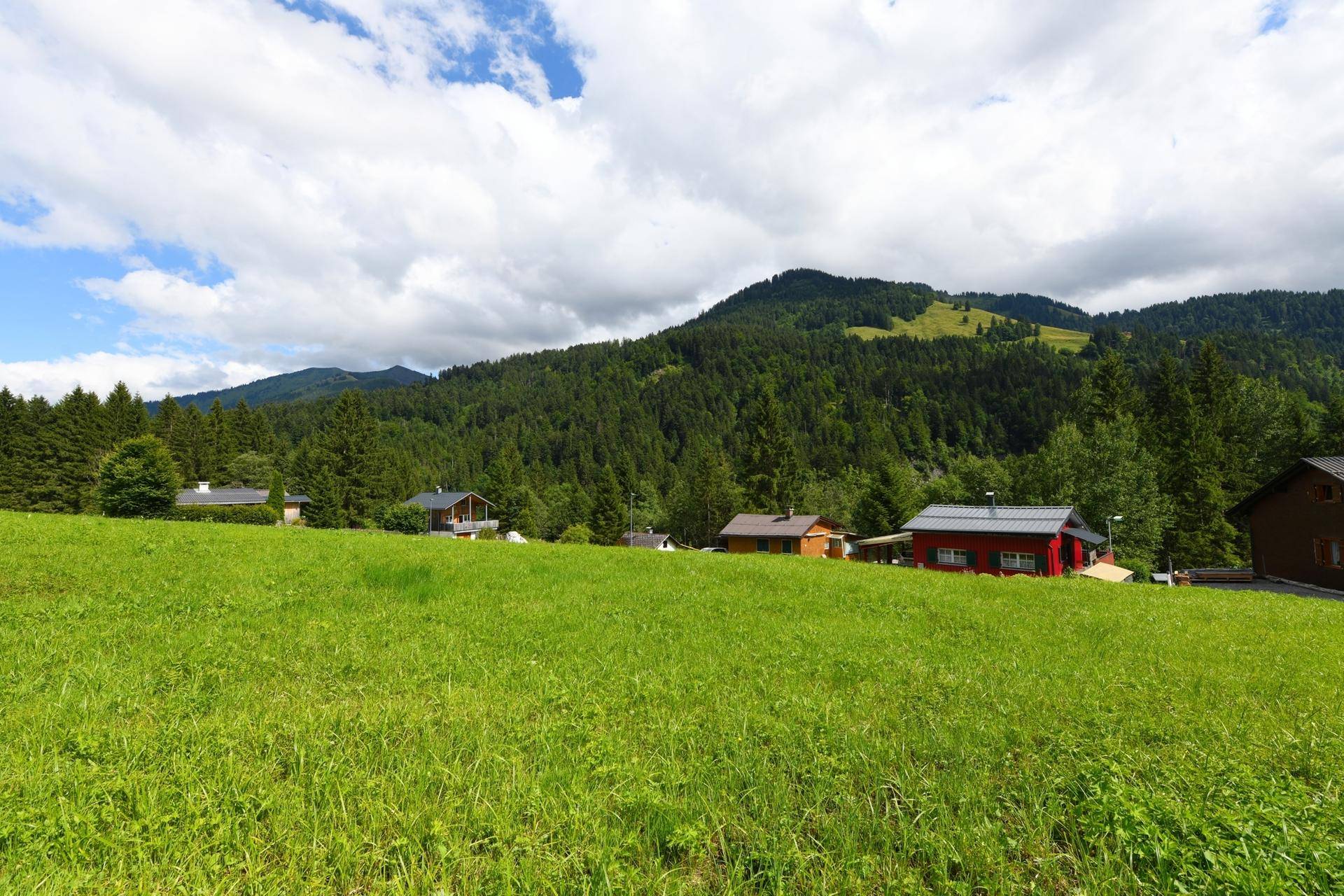 Weitläufige grüne Wiese mit Blick auf eine Reihe von Häusern und dichte Wälder an den Berghängen.
