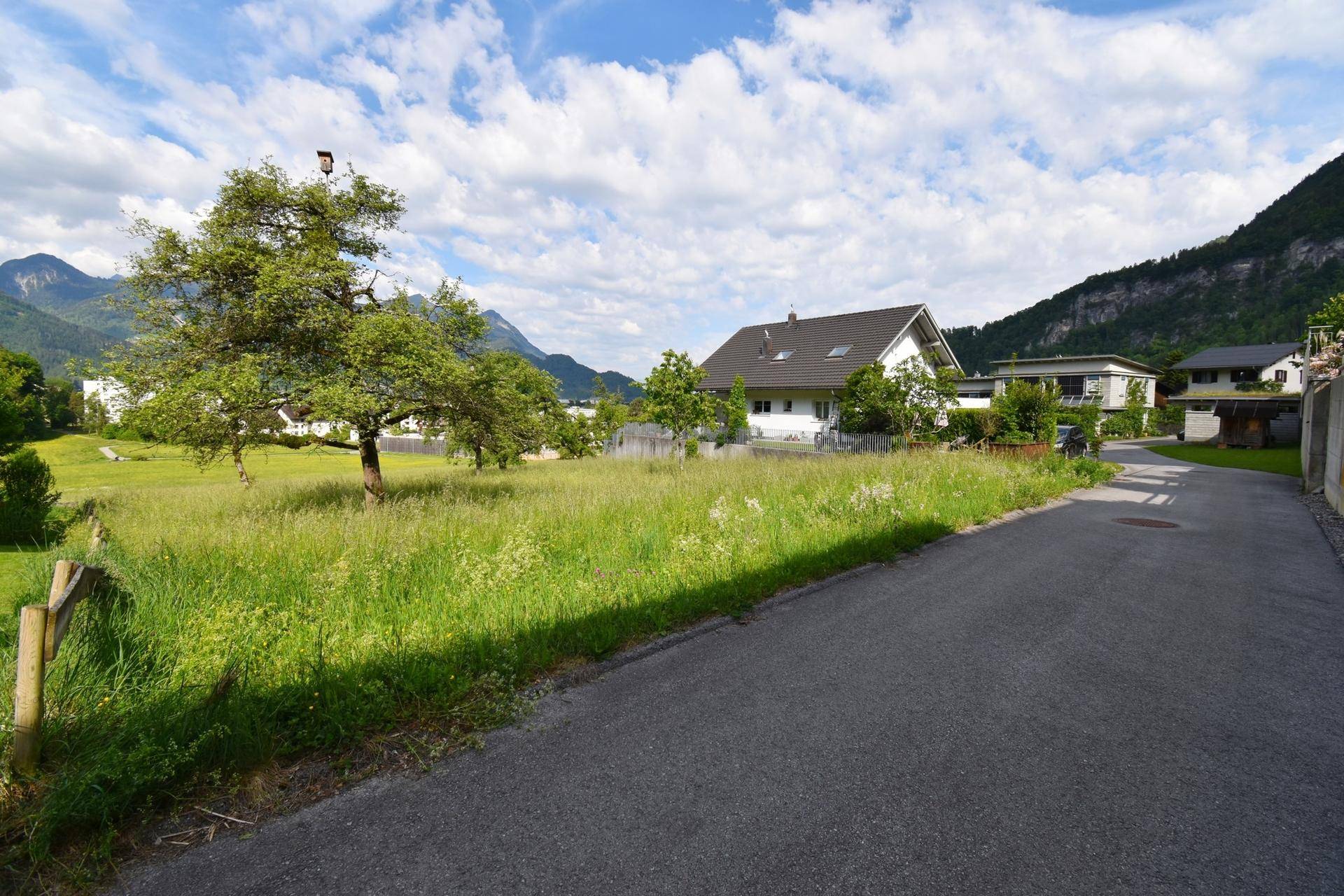 Blick vom Straßenrand auf das grüne Grundstück mit einem Haus und beeindruckender Bergkulisse.