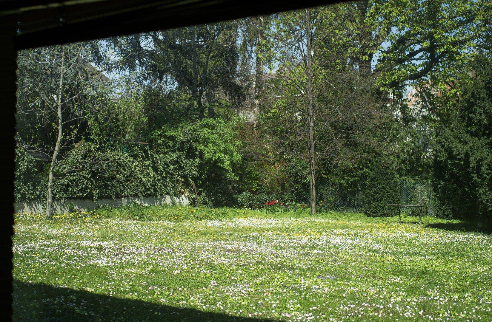 Blick aus dem Fenster auf den weitläufigen, blühenden Garten mit viel Grün.
