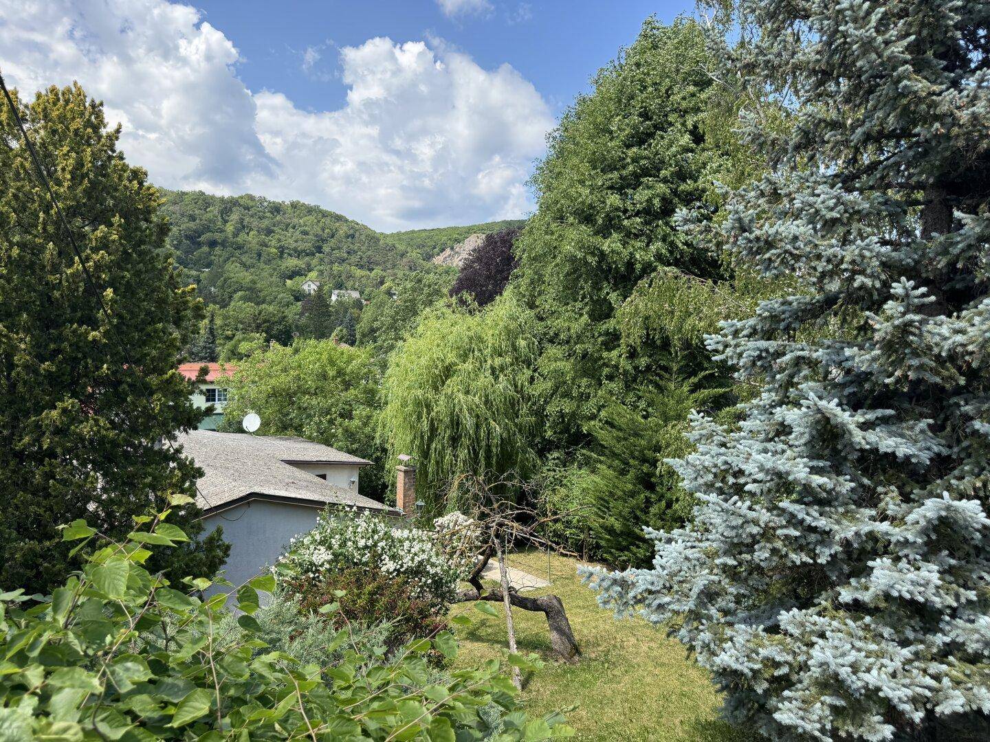 Panoramablick auf eine grüne Hügellandschaft mit üppiger Vegetation und vereinzelten Häusern.