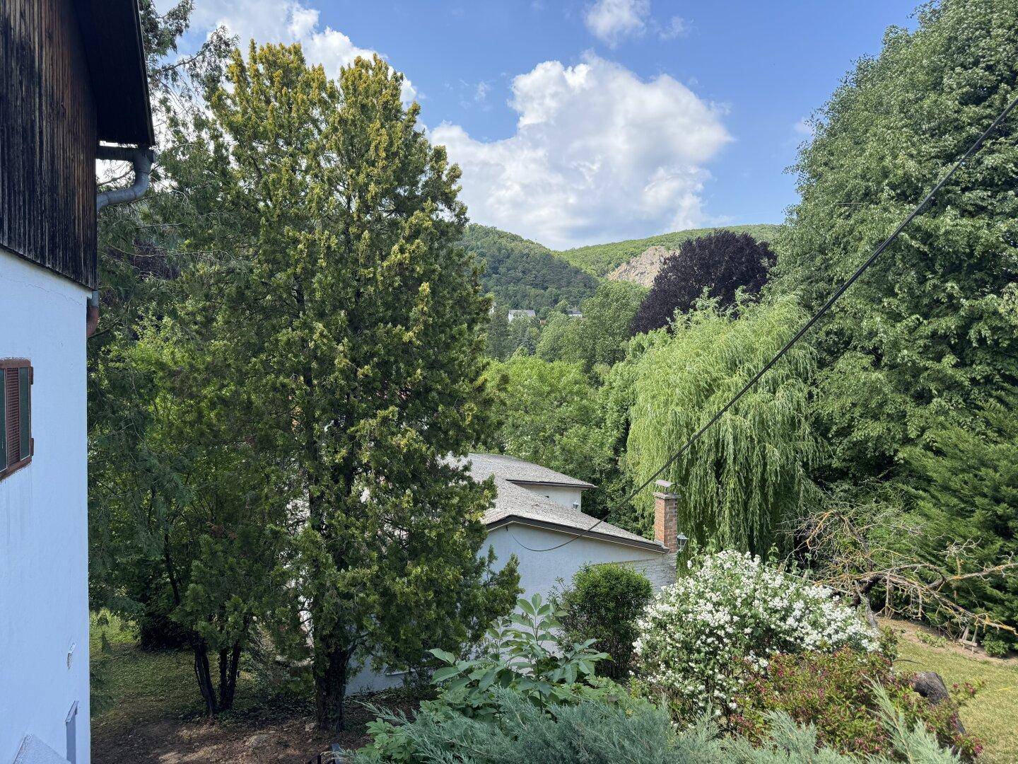 Sonniger Blick auf eine grüne Berglandschaft mit dichten Bäumen und einigen Häusern im Tal.
