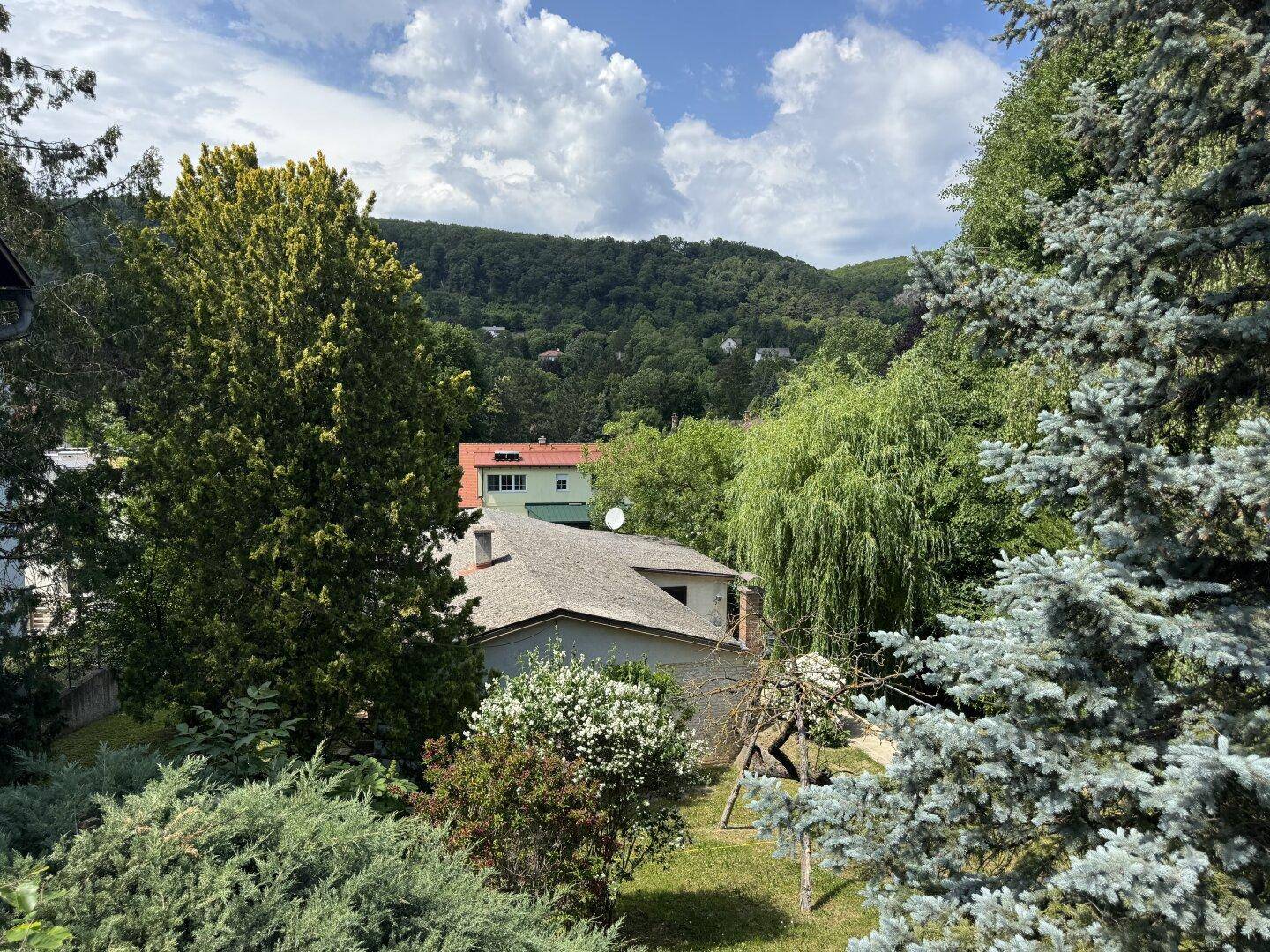 Malerischer Ausblick auf die bewaldeten Hügel und die umliegende Wohnbebauung an einem sonnigen Tag.