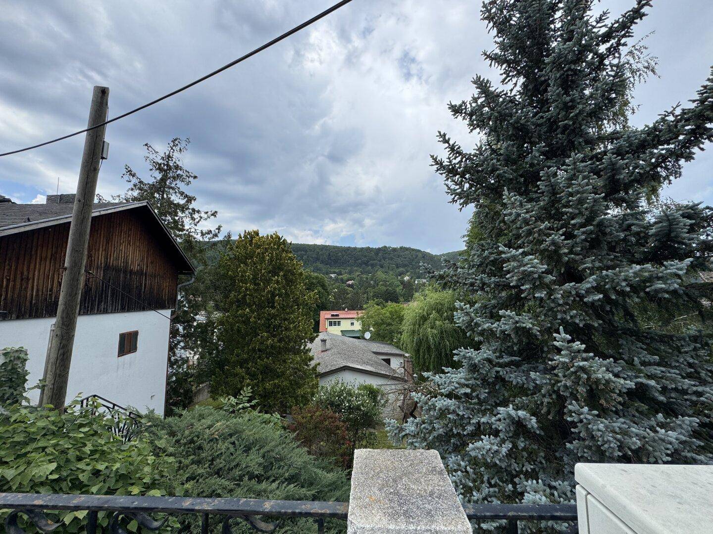 Panoramablick auf die bewaldete Hügellandschaft und benachbarte Gebäude unter einem bedeckten Himmel.