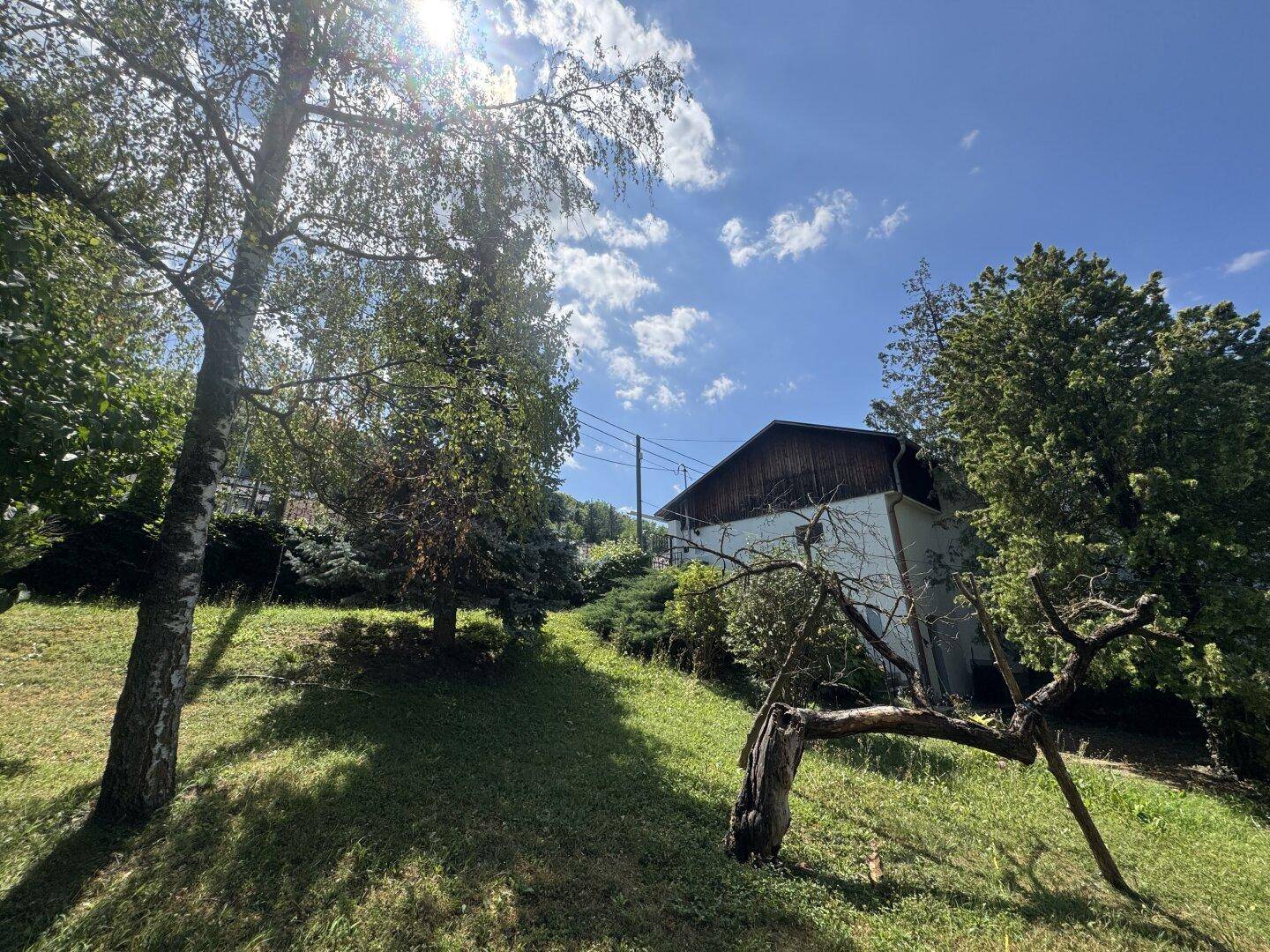 Hanglage des Gartens mit alten Bäumen und Blick auf das Hauptgebäude in der Ferne.