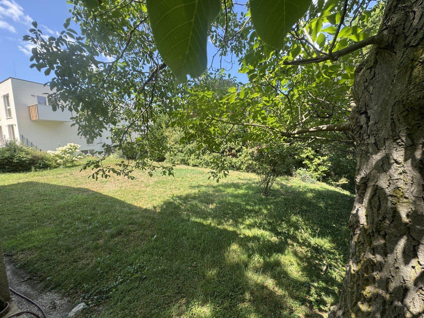 Blick über die Rasenfläche des Gartens, umgeben von dichtem Grün und Bäumen.