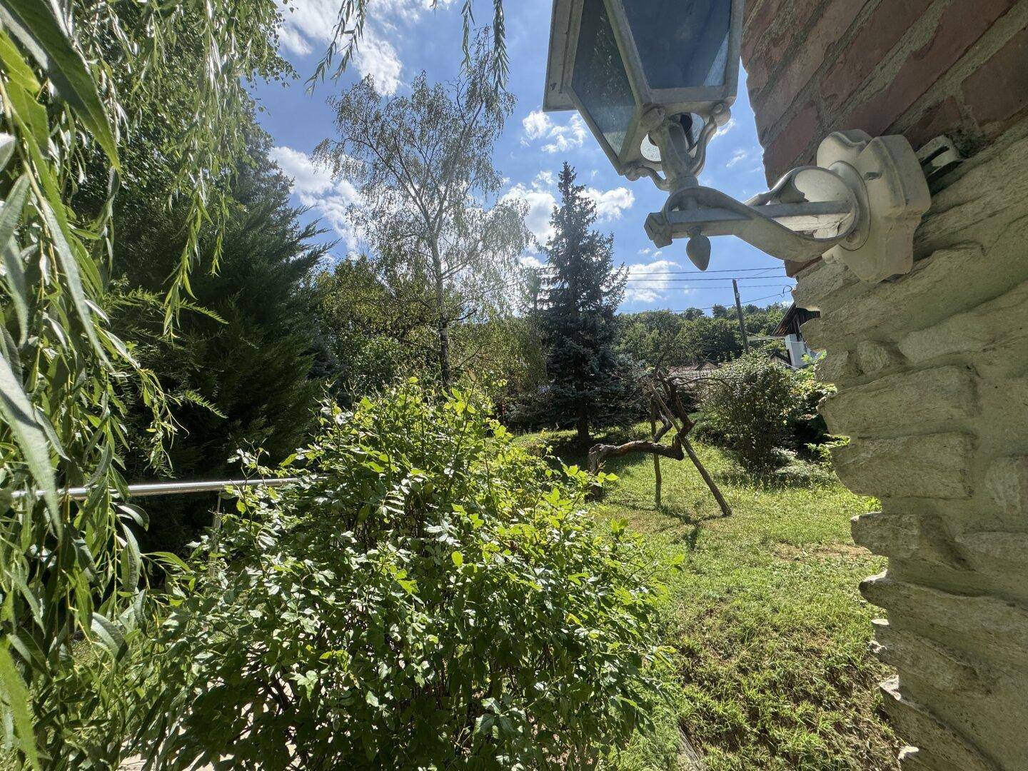 Idyllischer Blick vom Garten auf die bewaldete Umgebung und die Hügelkette.