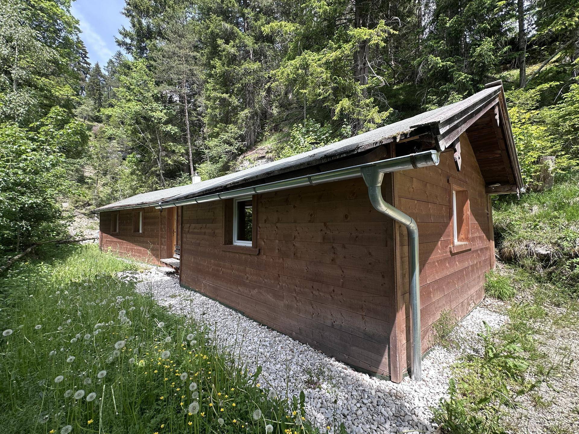 Längsansicht der Holzhütte mit Kiesweg und umgebender Waldlandschaft.
