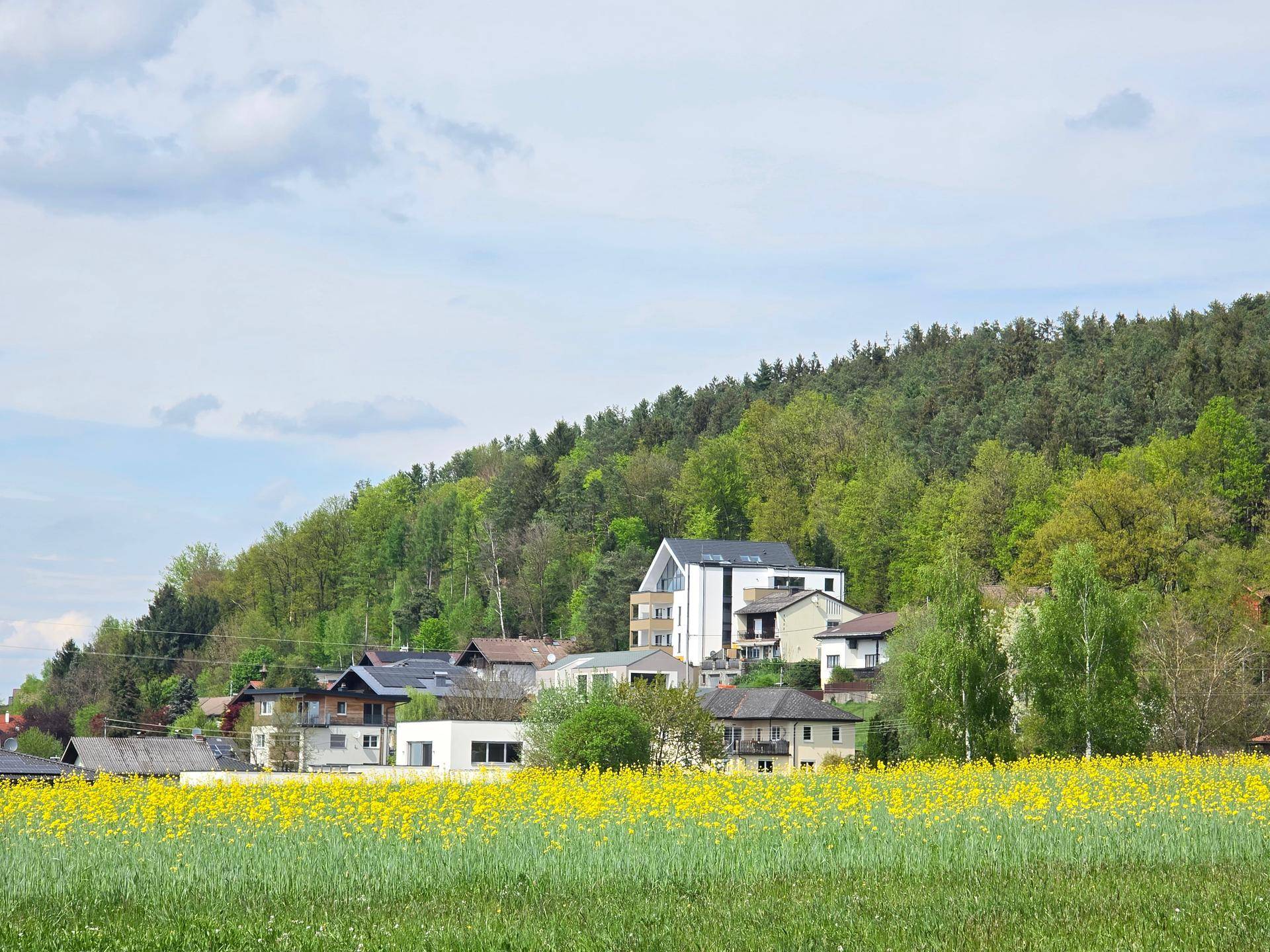 Ländliche Umgebung mit Wohnbebauung, Rapsfeld im Vordergrund und bewaldetem Hügel im Hintergrund.