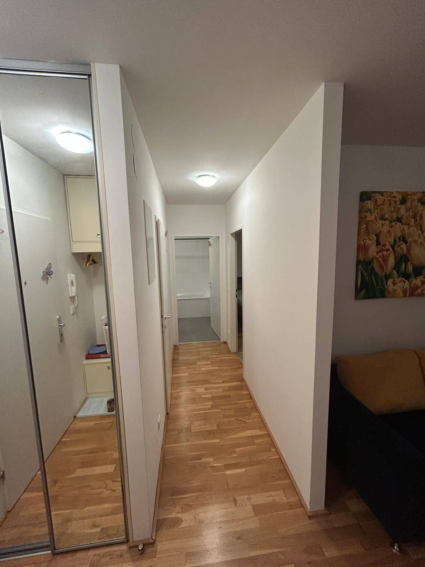 Heller Flur mit Holzparkettboden und einem großen Spiegelschrank, der den Raum optisch erweitert.