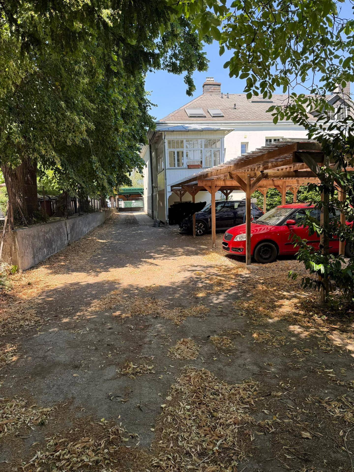 Einfahrt mit Carport und Parkmöglichkeiten für mehrere Fahrzeuge.